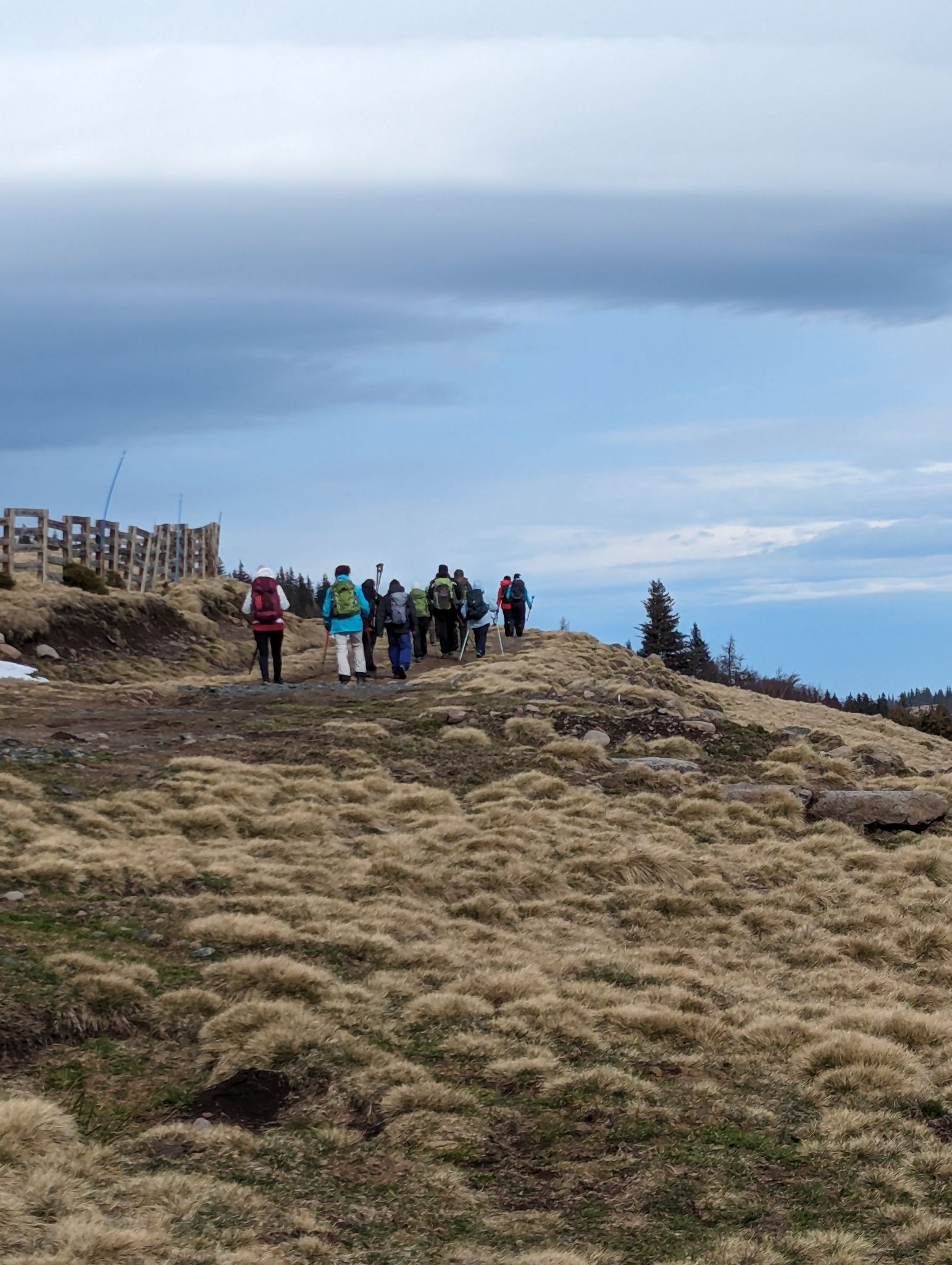 PXL 20240222 124842504