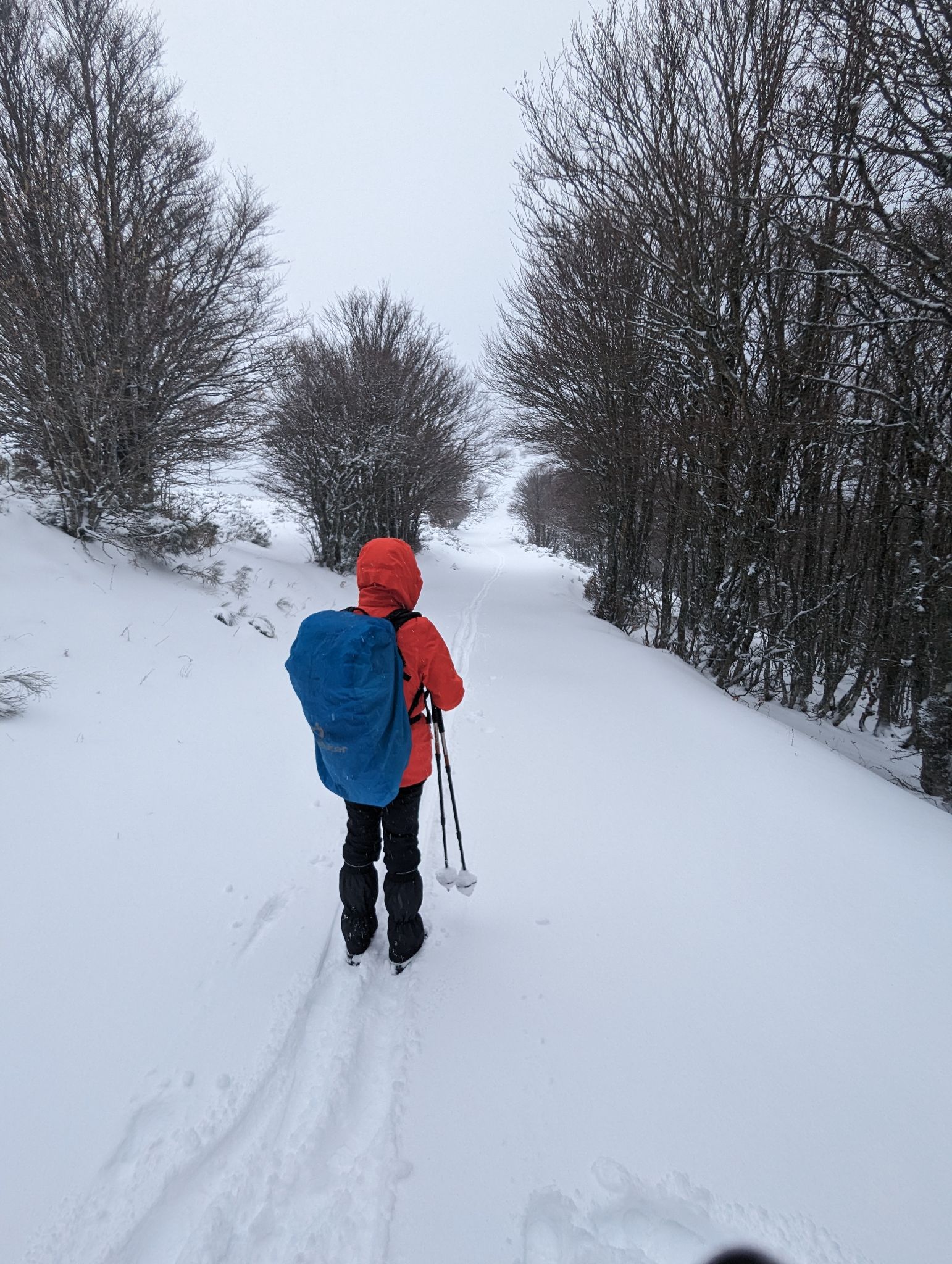 PXL 20240223 111034717