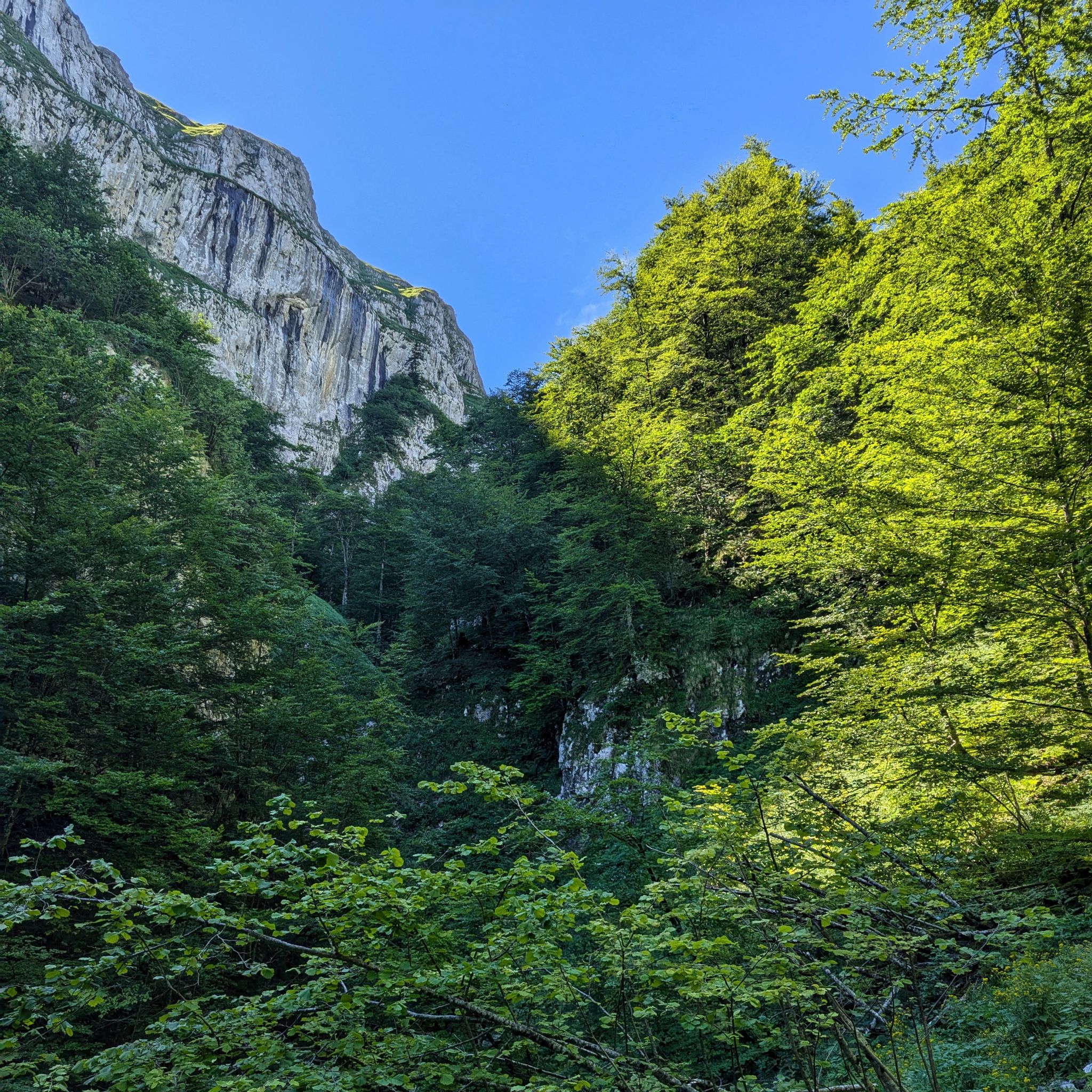 PXL 20240704 090044694