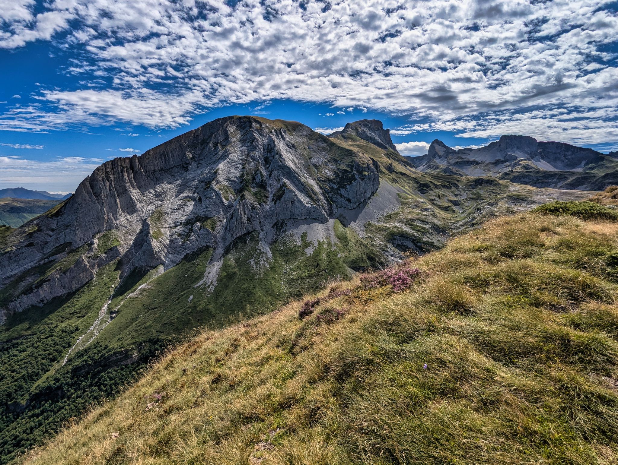 PXL 20240817 095608806