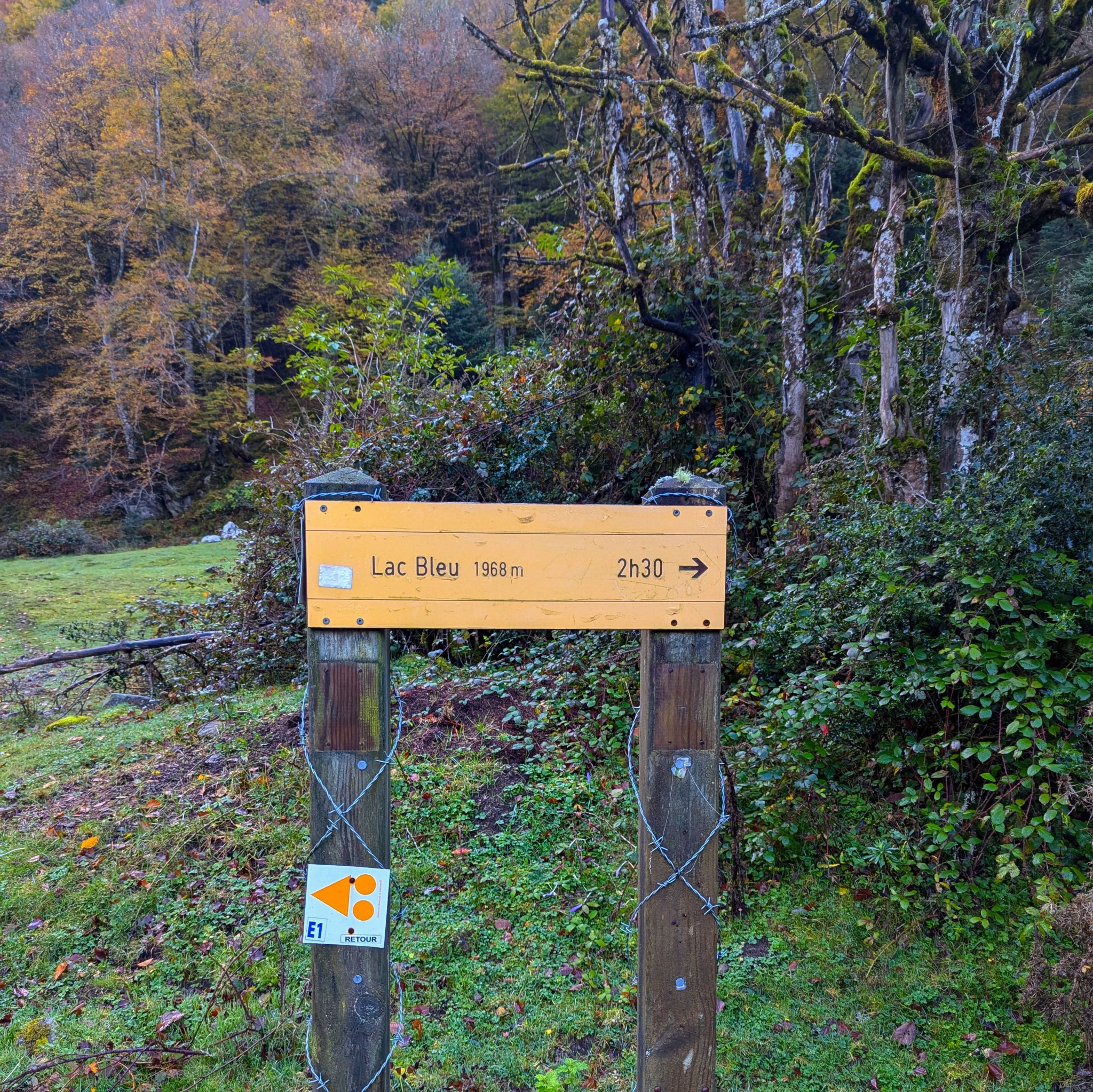 PXL 20241031 082404038.MP