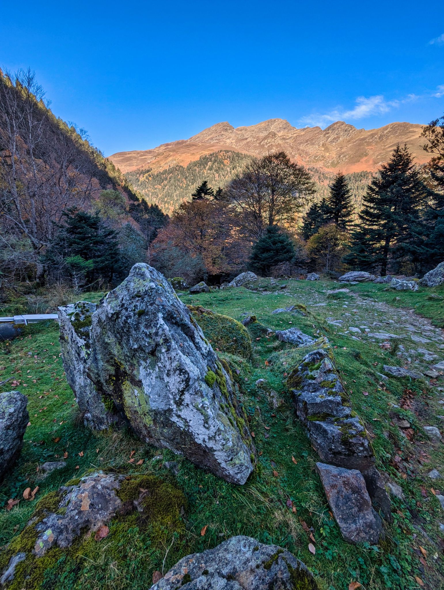 PXL 20241031 085418348