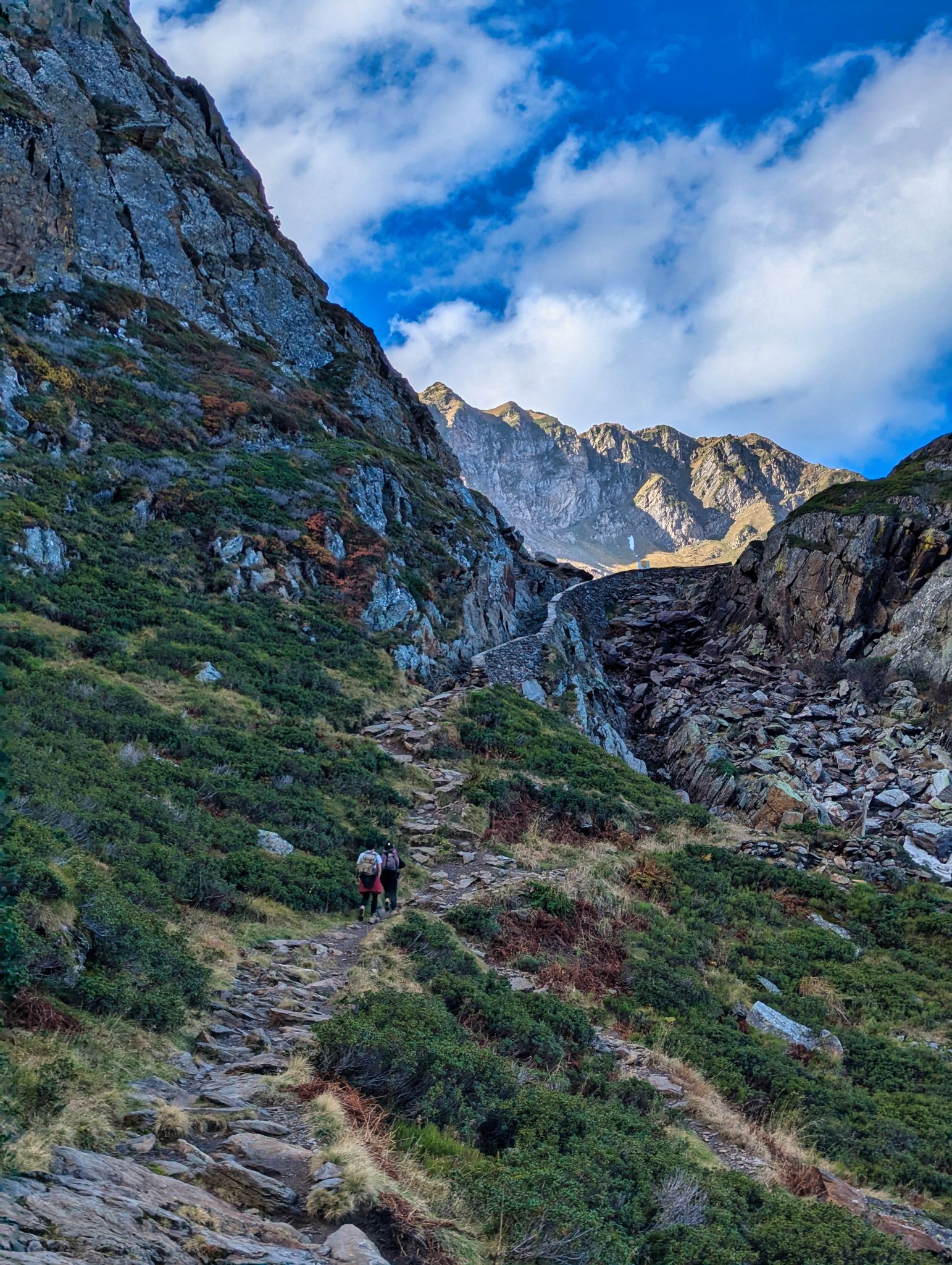 PXL 20241031 103408365