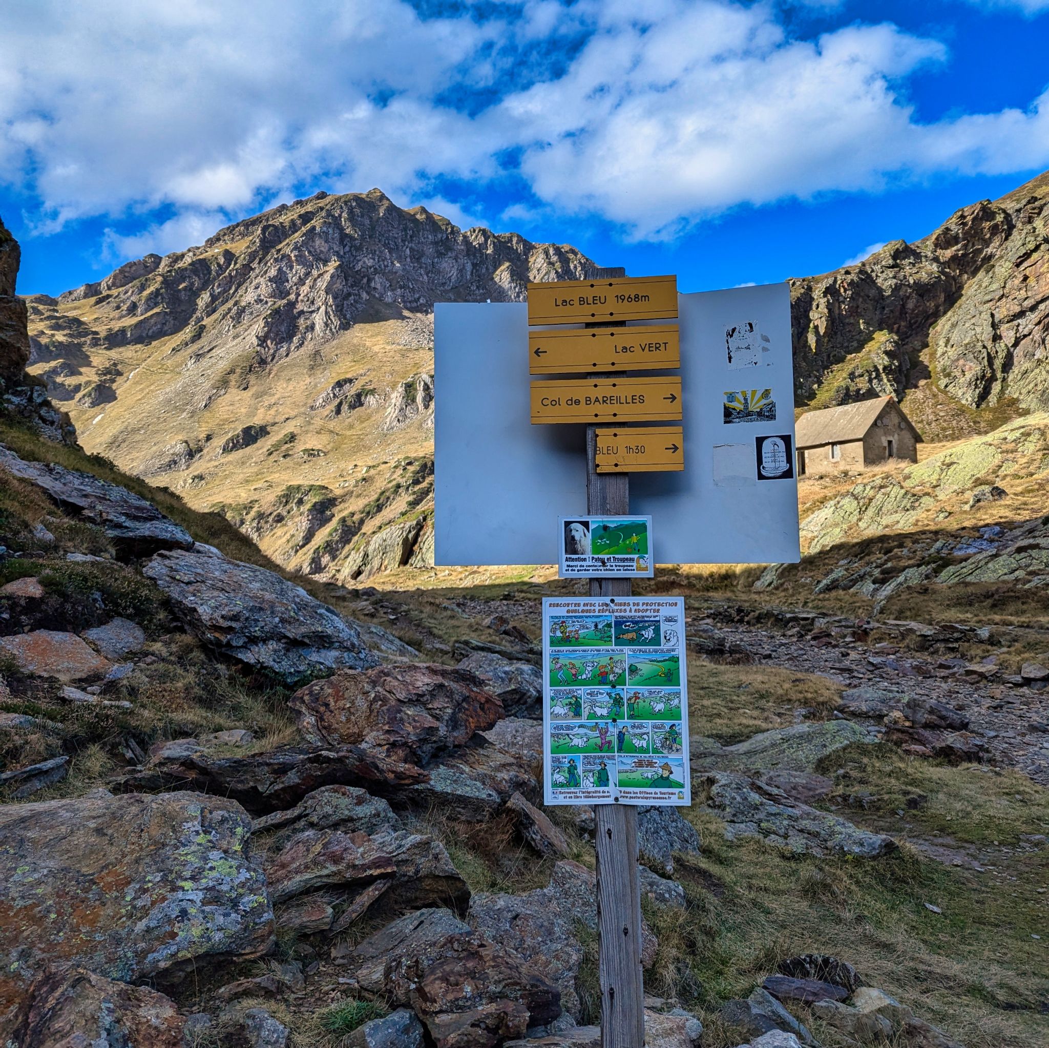 PXL 20241031 103859402