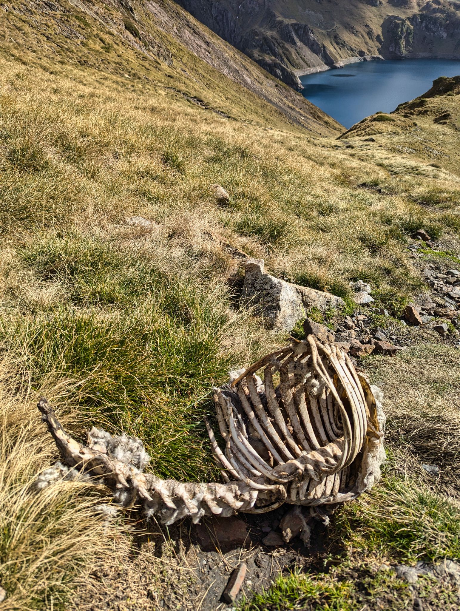 PXL 20241031 114155379.MP