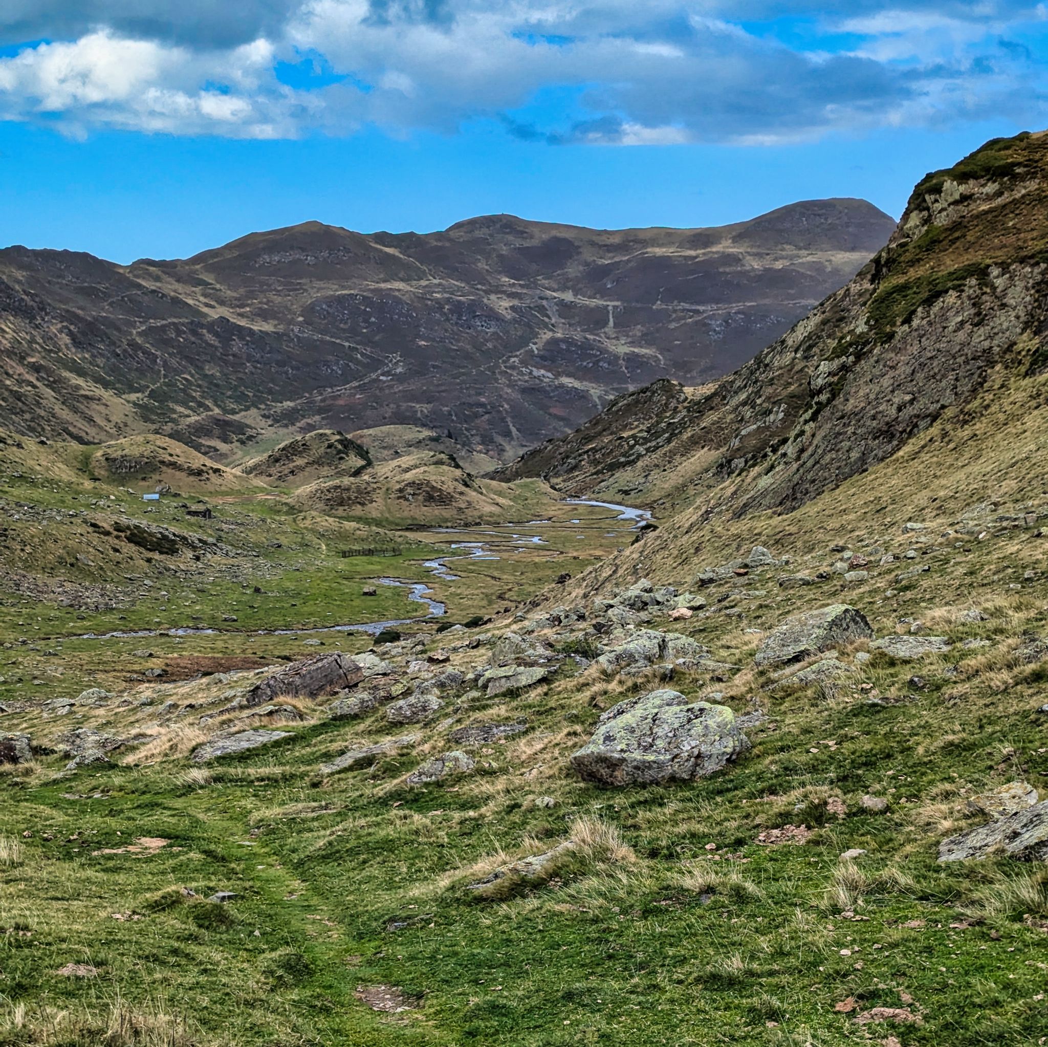 PXL 20241031 124449428