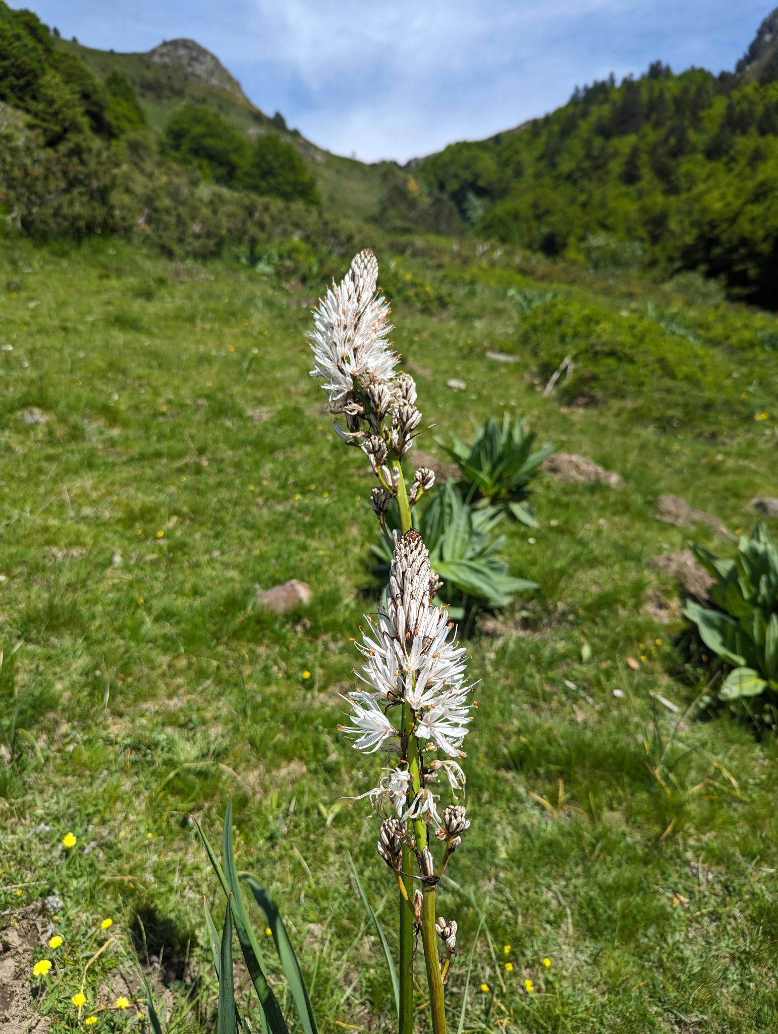 PXL 20240613 142203324