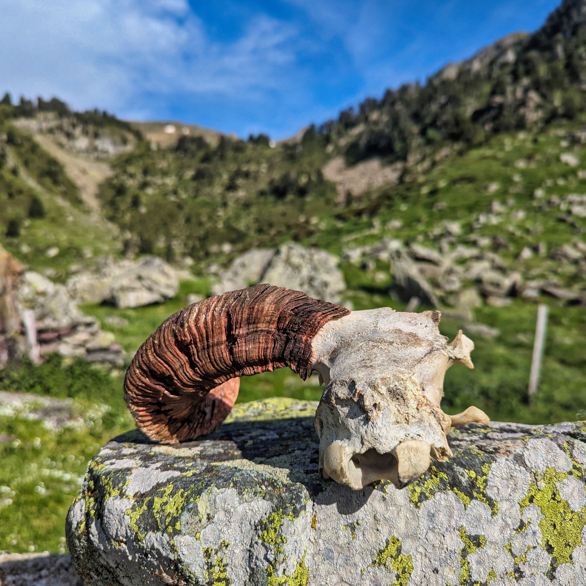 Cabane & pic du Larry