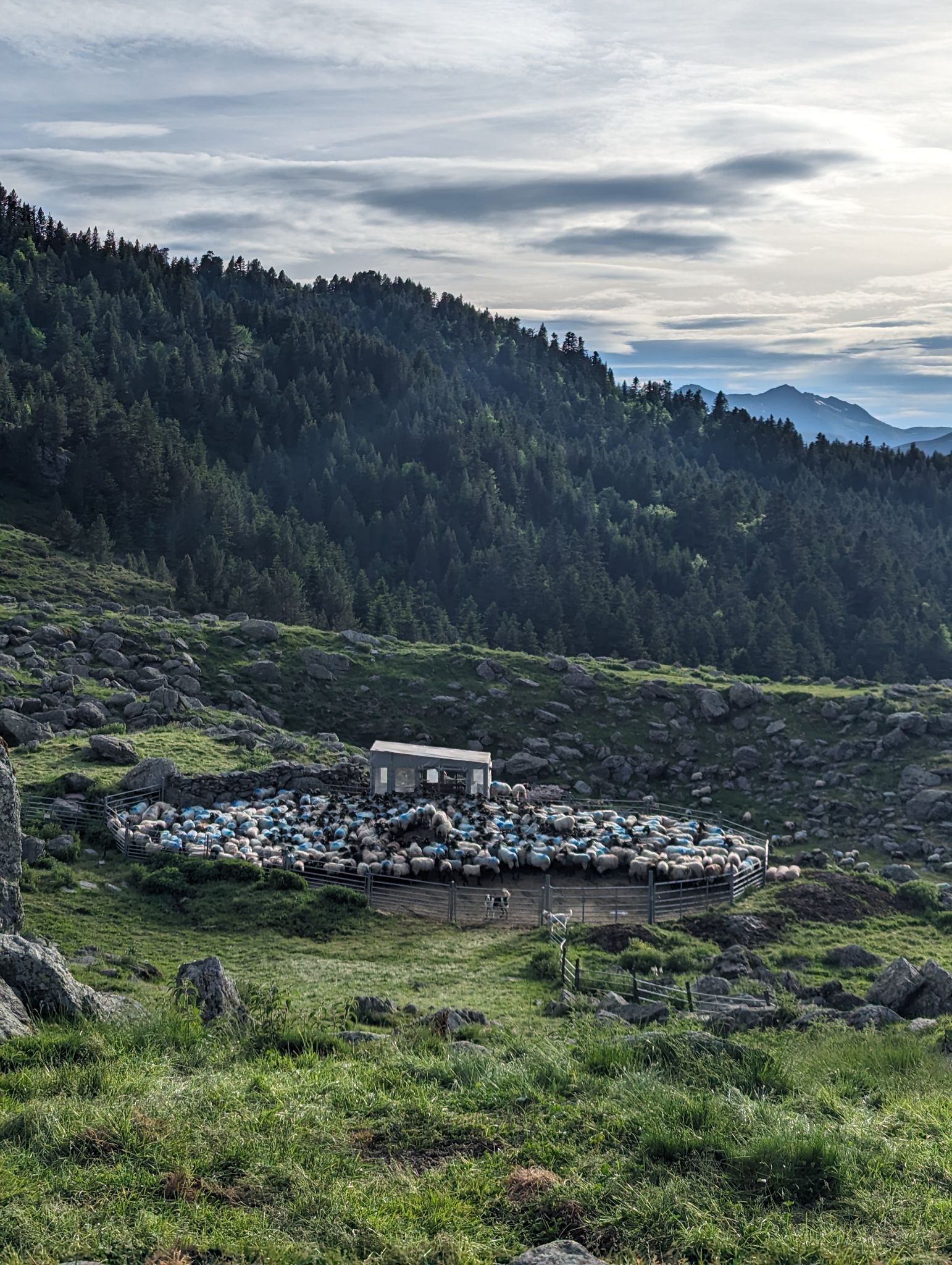 PXL 20240613 175745082