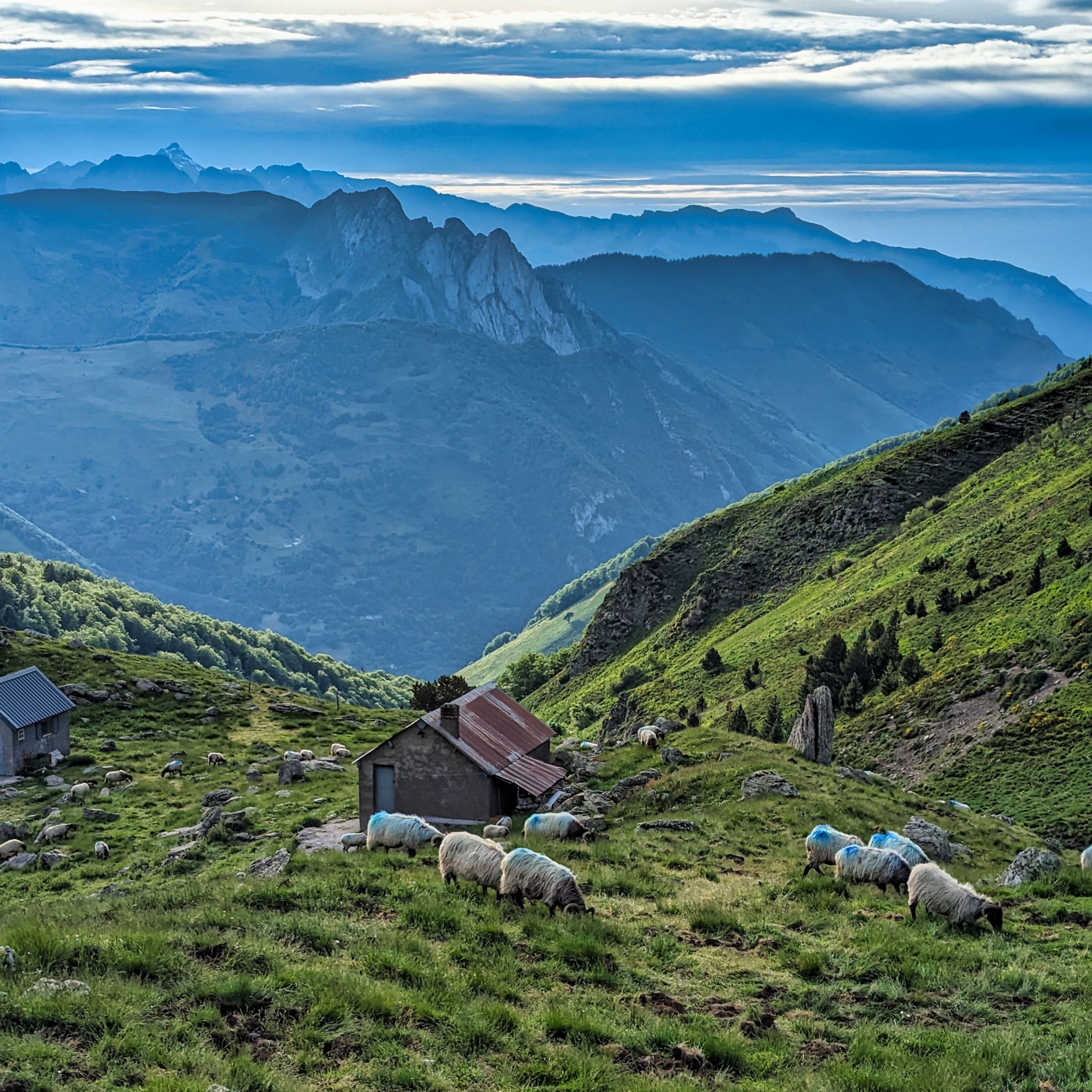 PXL 20240613 181201400