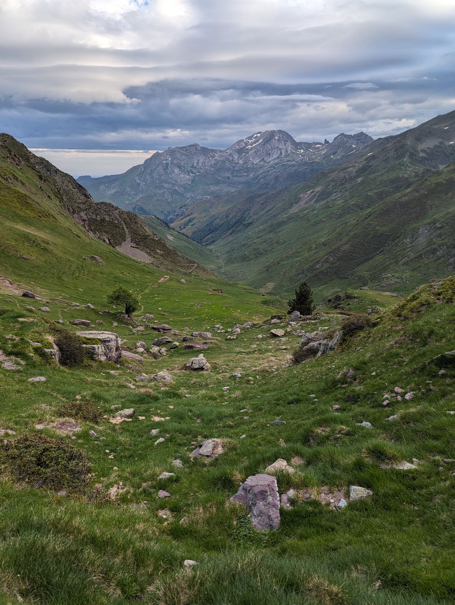 PXL 20240614 053548171