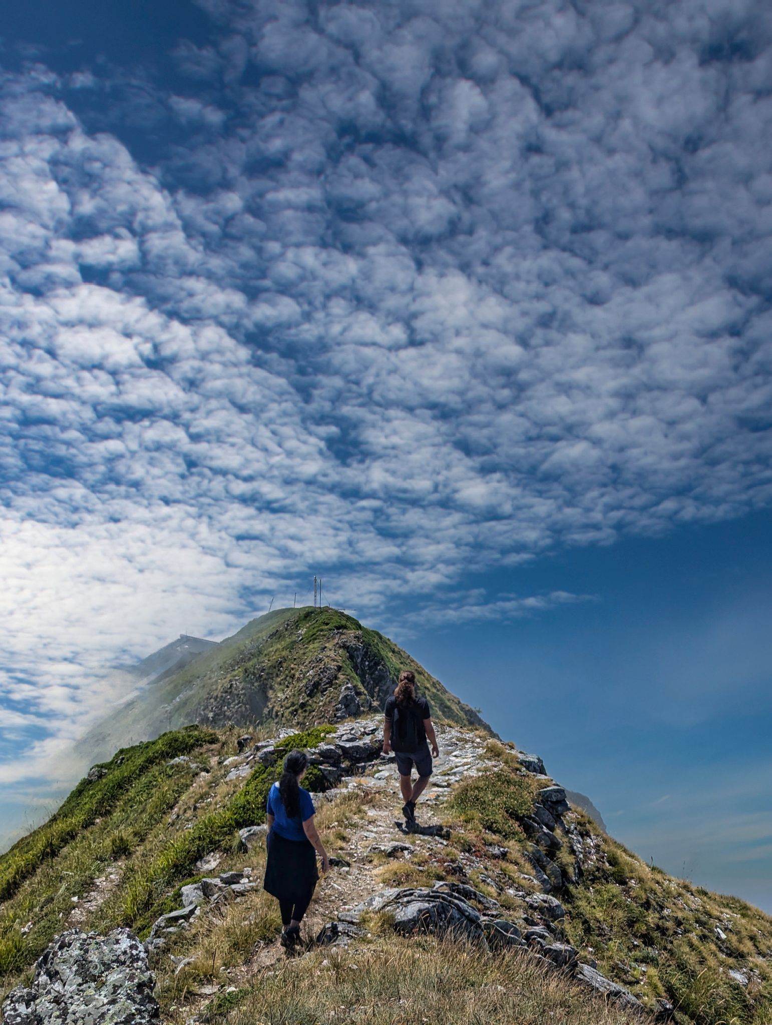 PXL 20240816 112827154