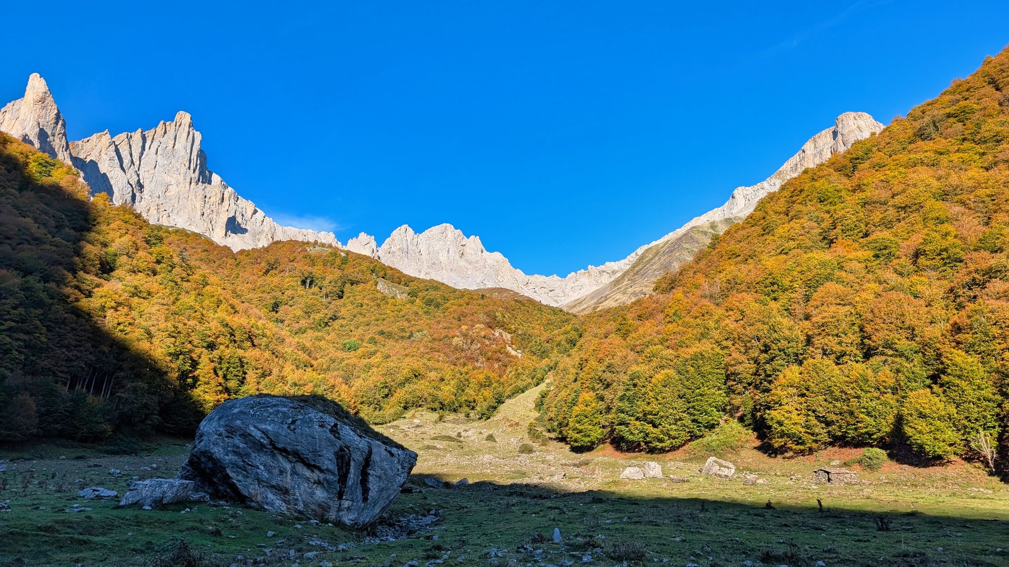 PXL 20251006 081351623