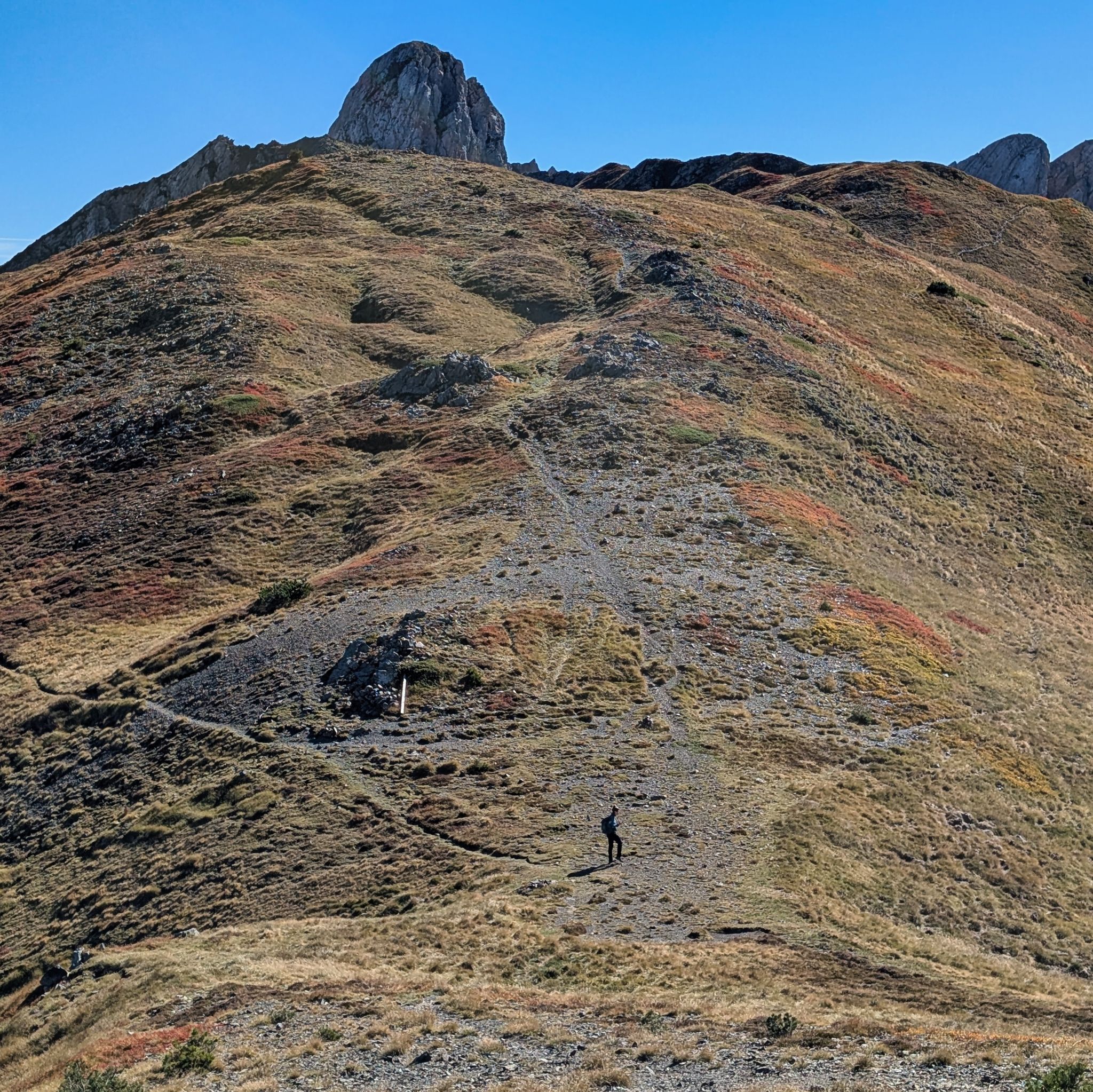 PXL 20251006 100334110