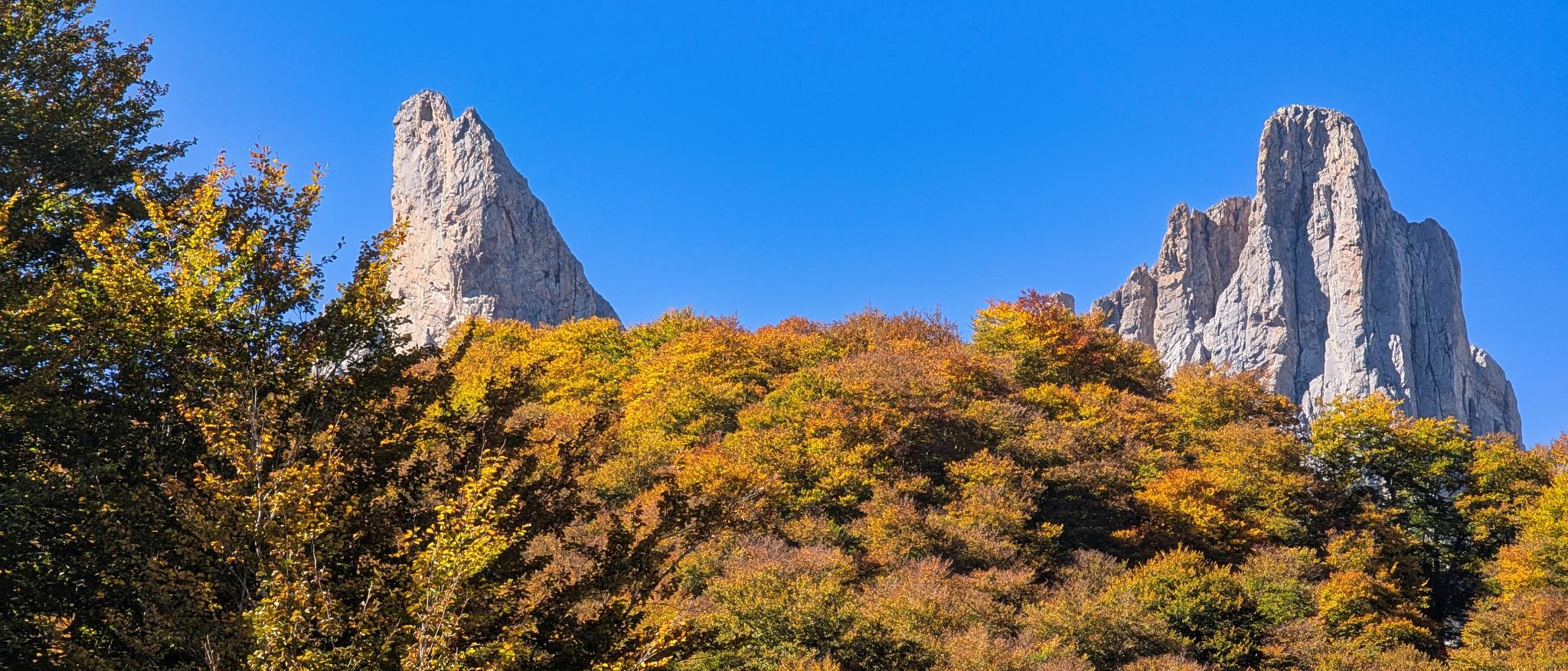 PXL 20251006 120005281