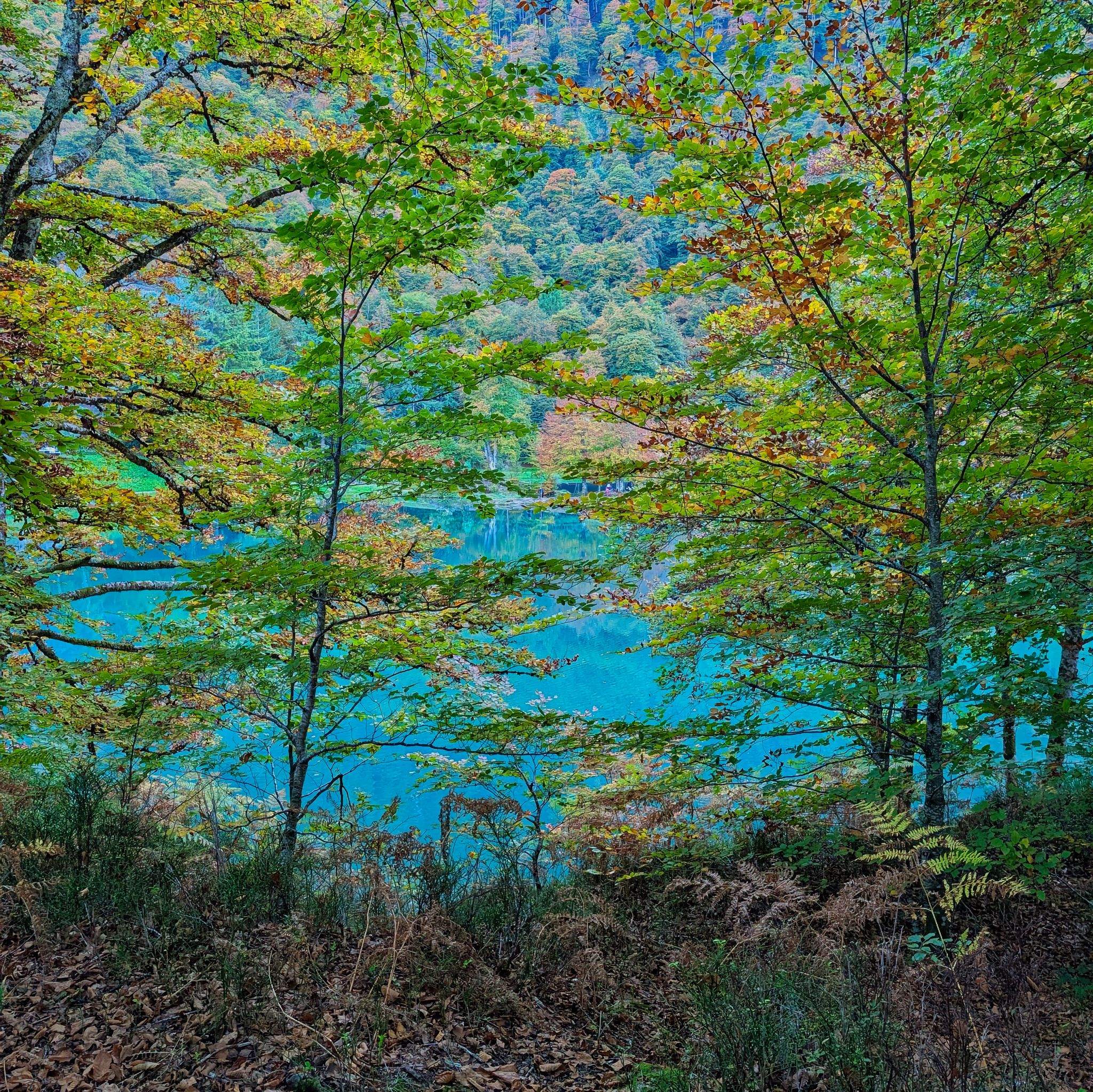 PXL 20251011 153005227