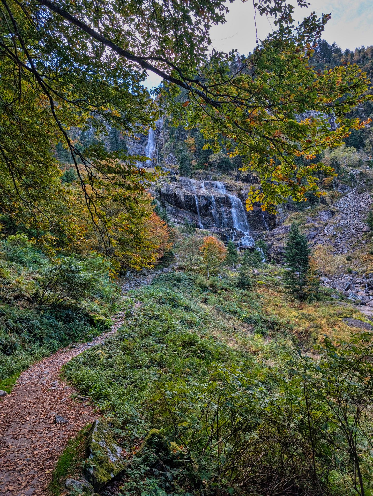 PXL 20251012 083411687