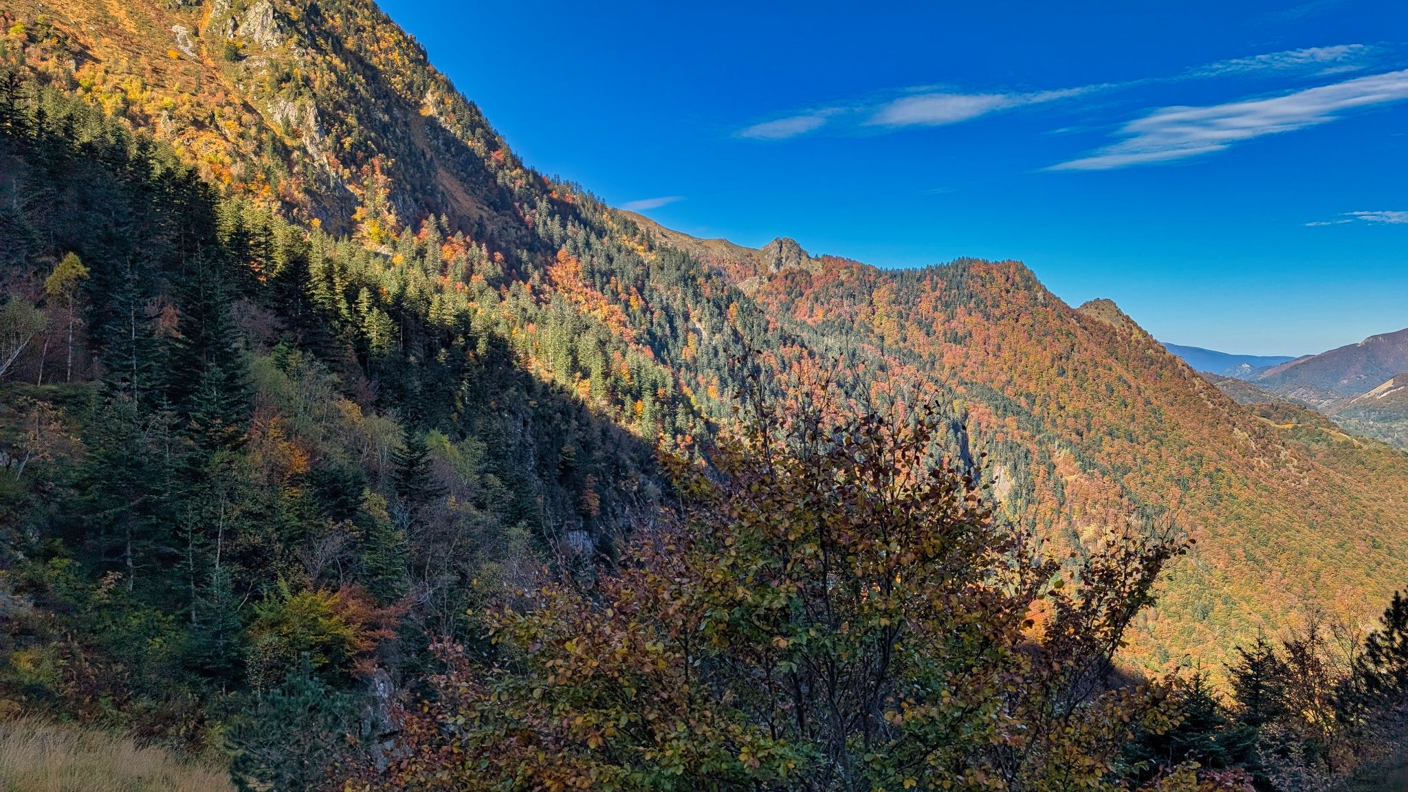 PXL 20251012 090310034