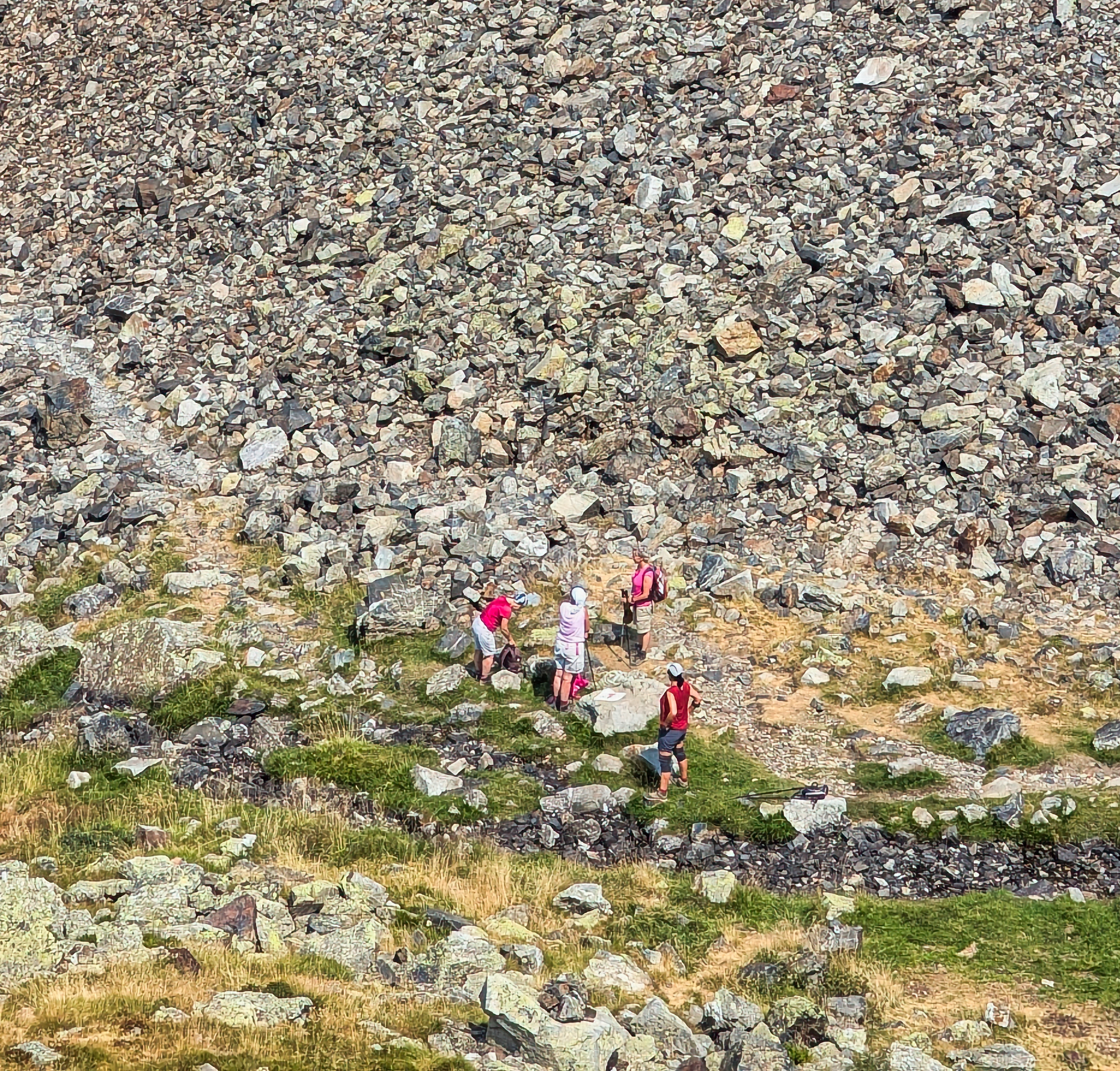 PXL 20250814 104654549