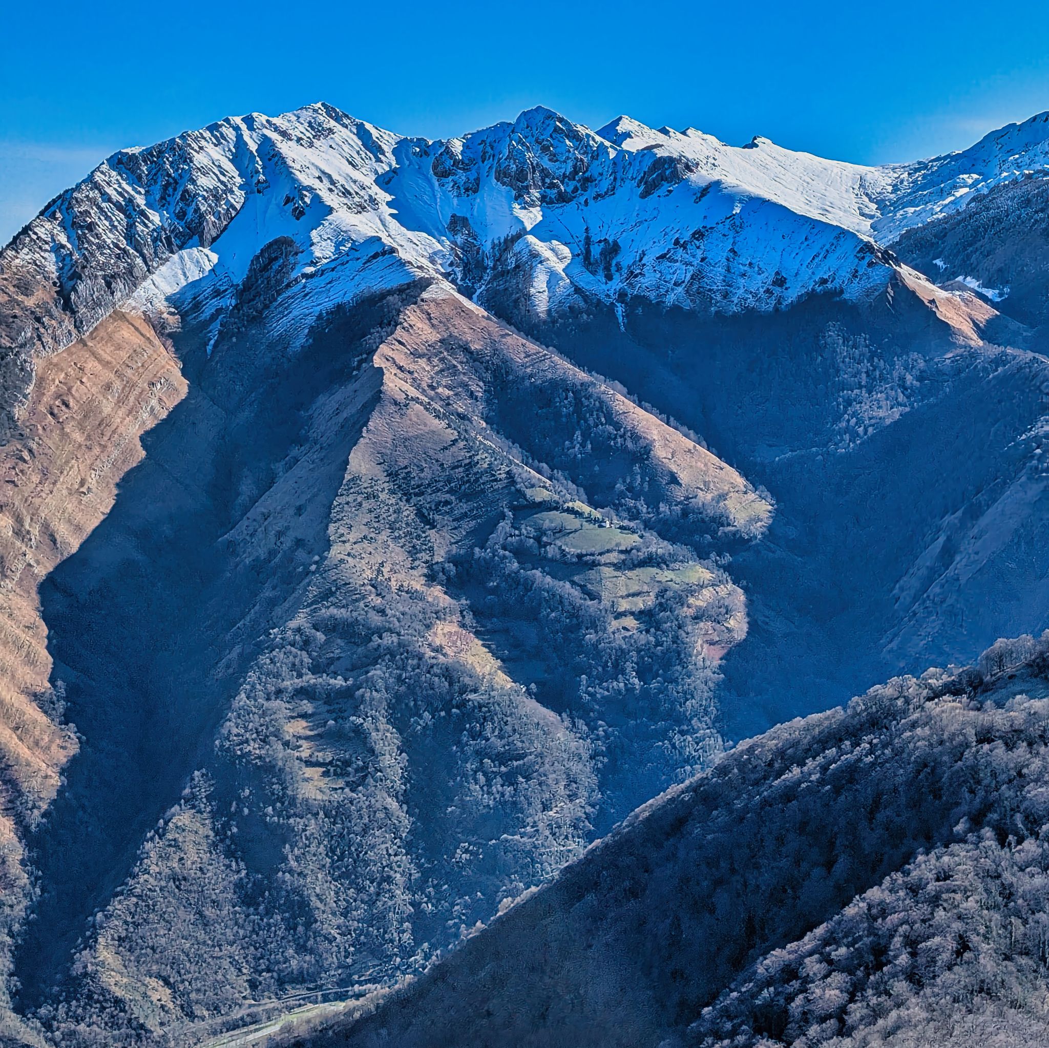 PXL 20250202 101108796