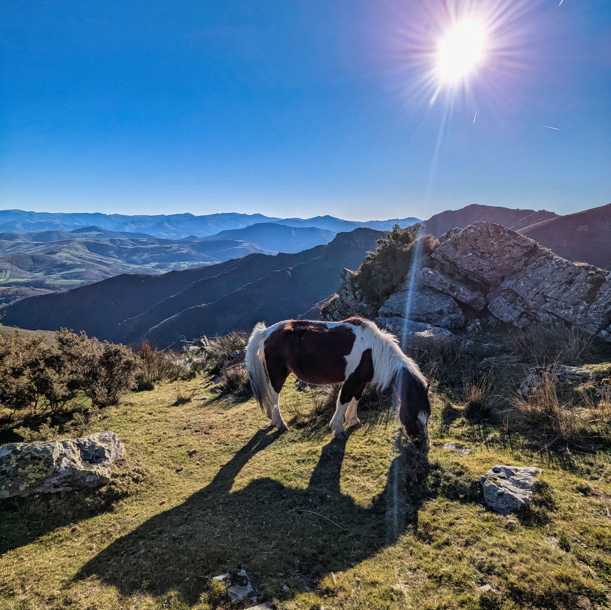 PXL 20250101 135938663