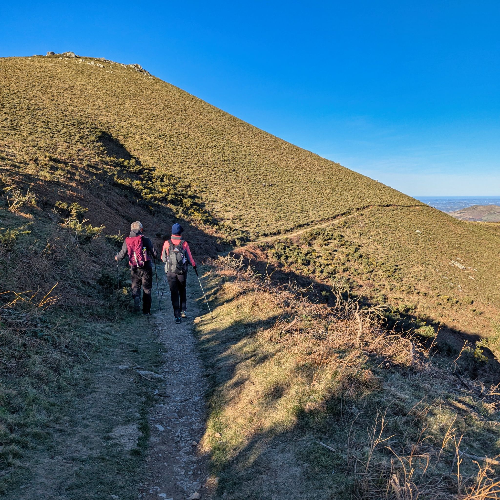 PXL 20250101 142535999