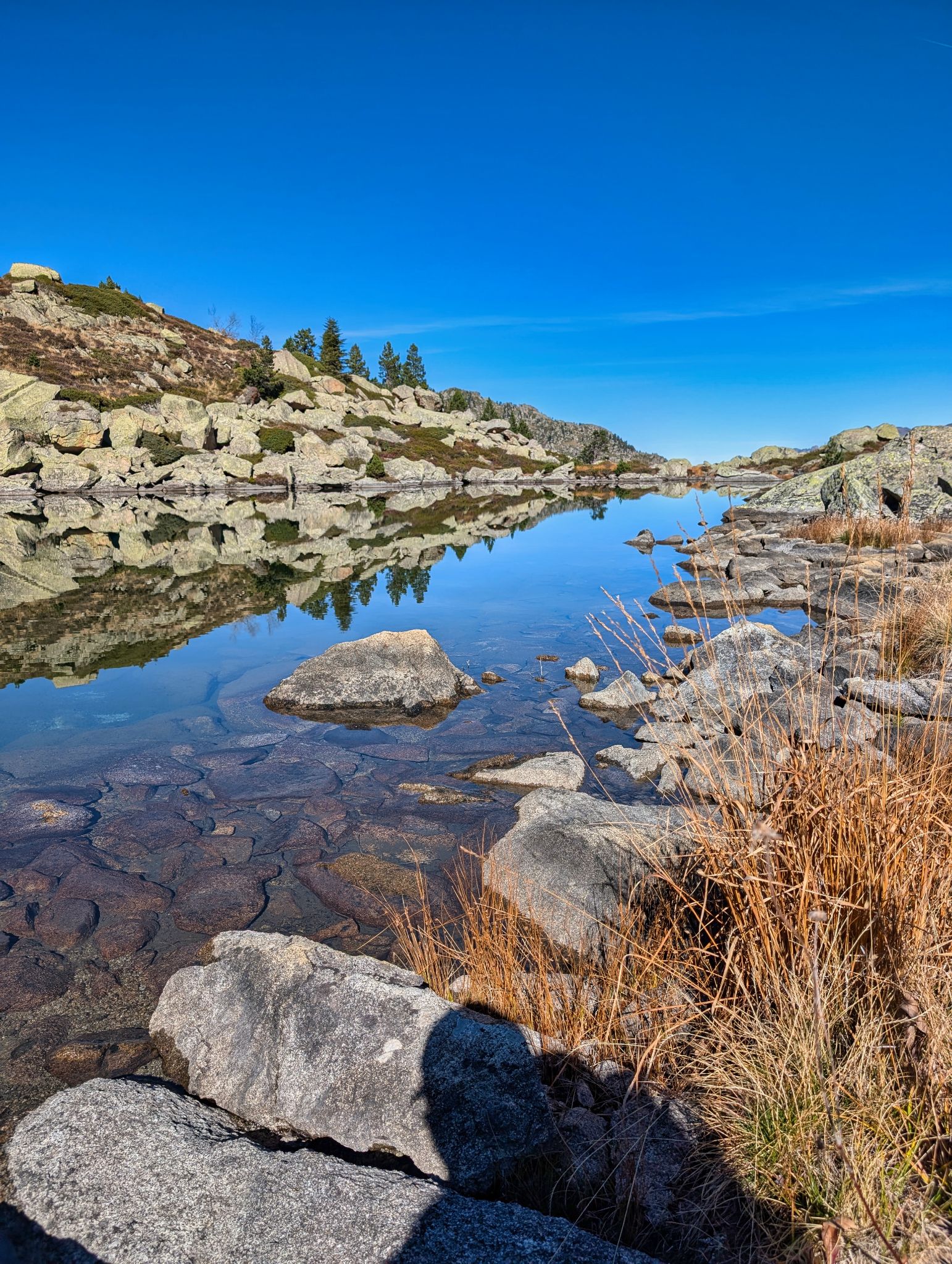 PXL 20251027 111834300.MP