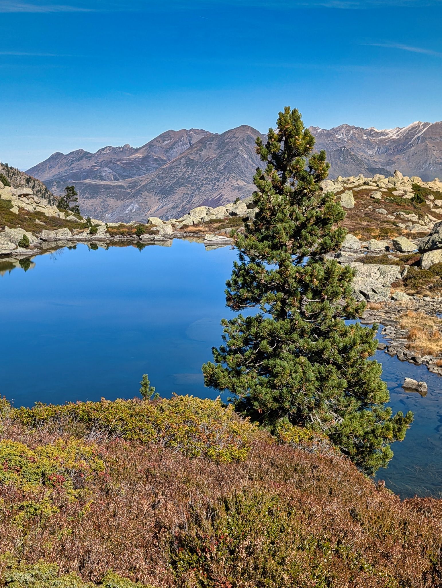 PXL 20251027 112103698