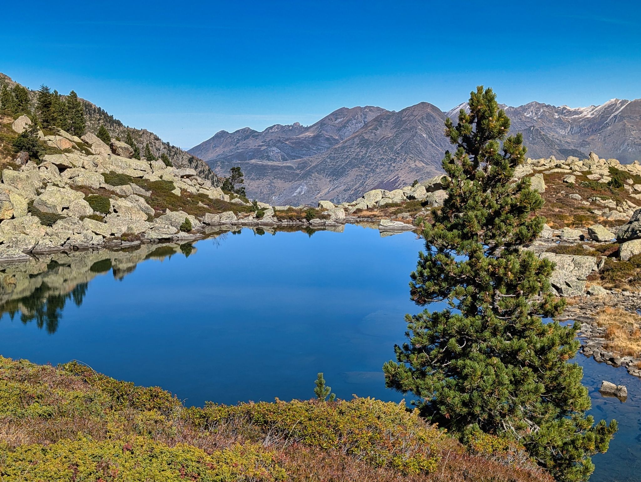 PXL 20251027 112109249