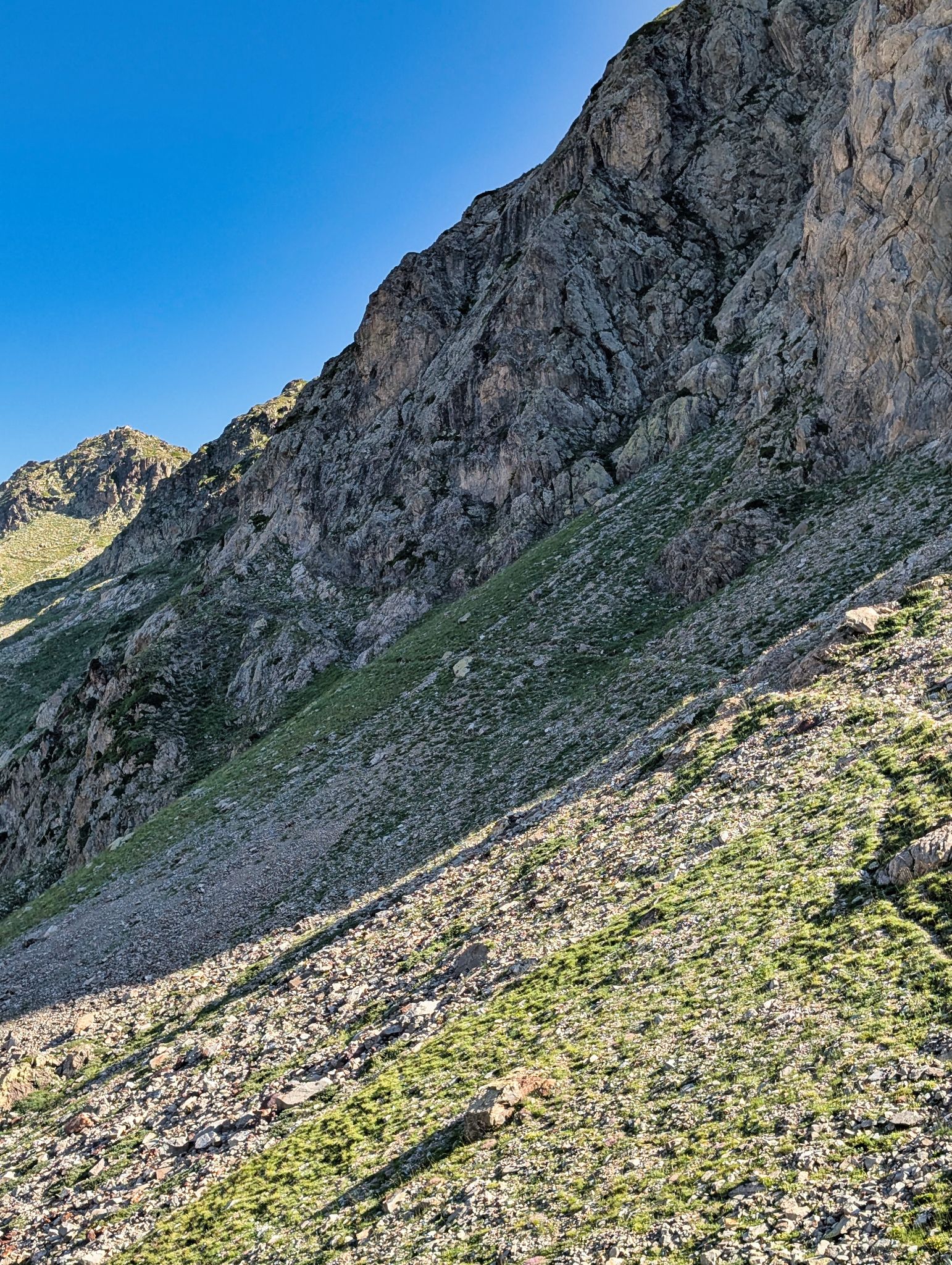 PXL 20250718 080634331