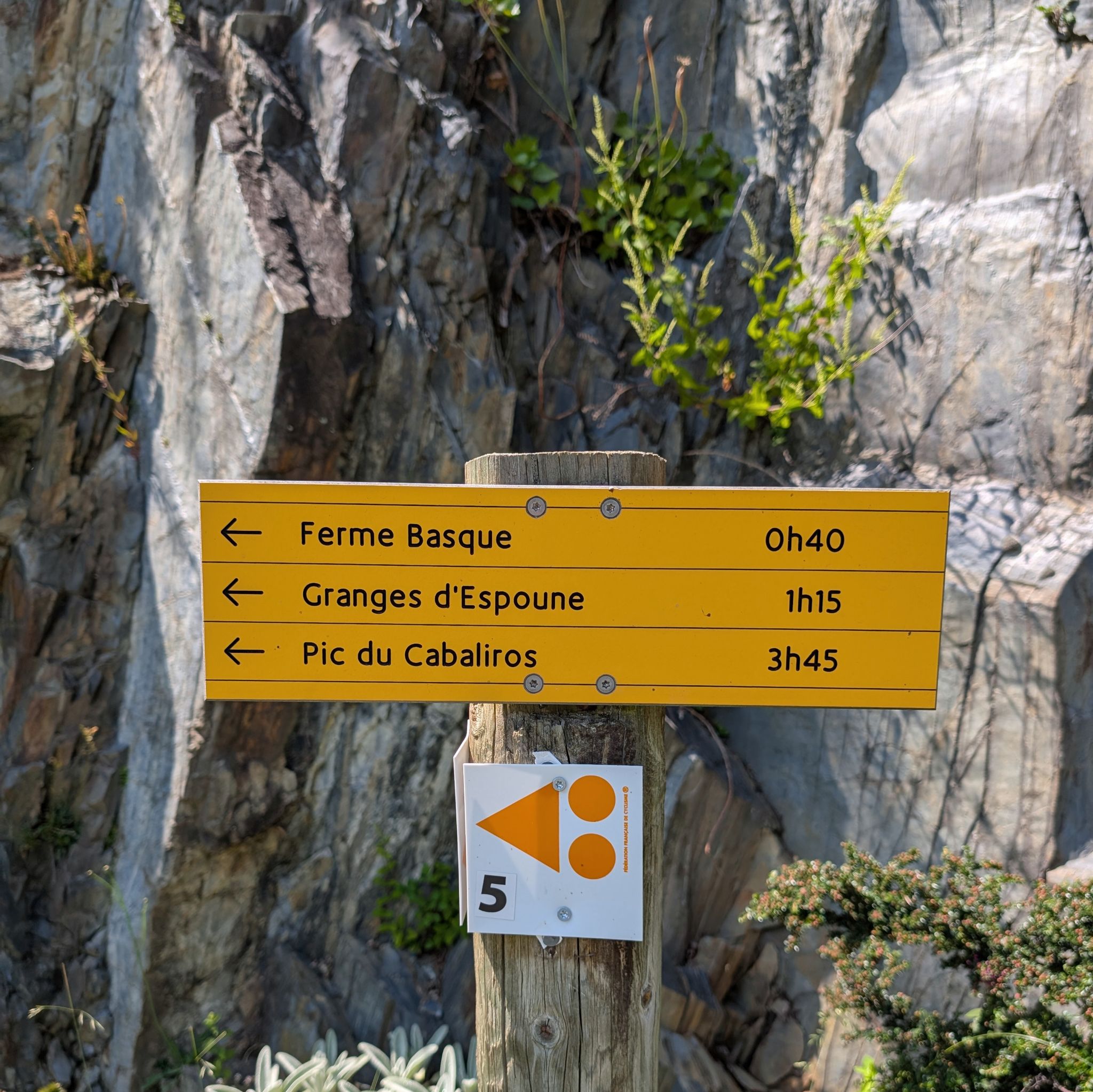 PXL 20250616 134150820