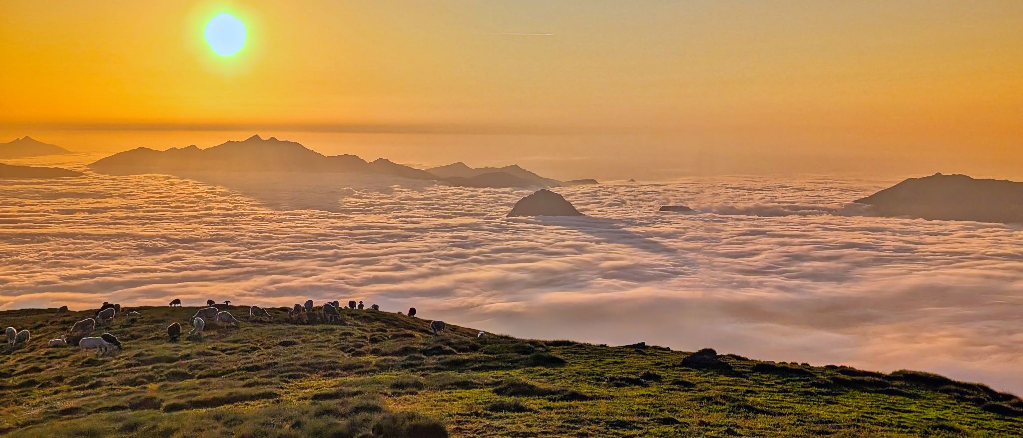 PXL 20250616 192040230