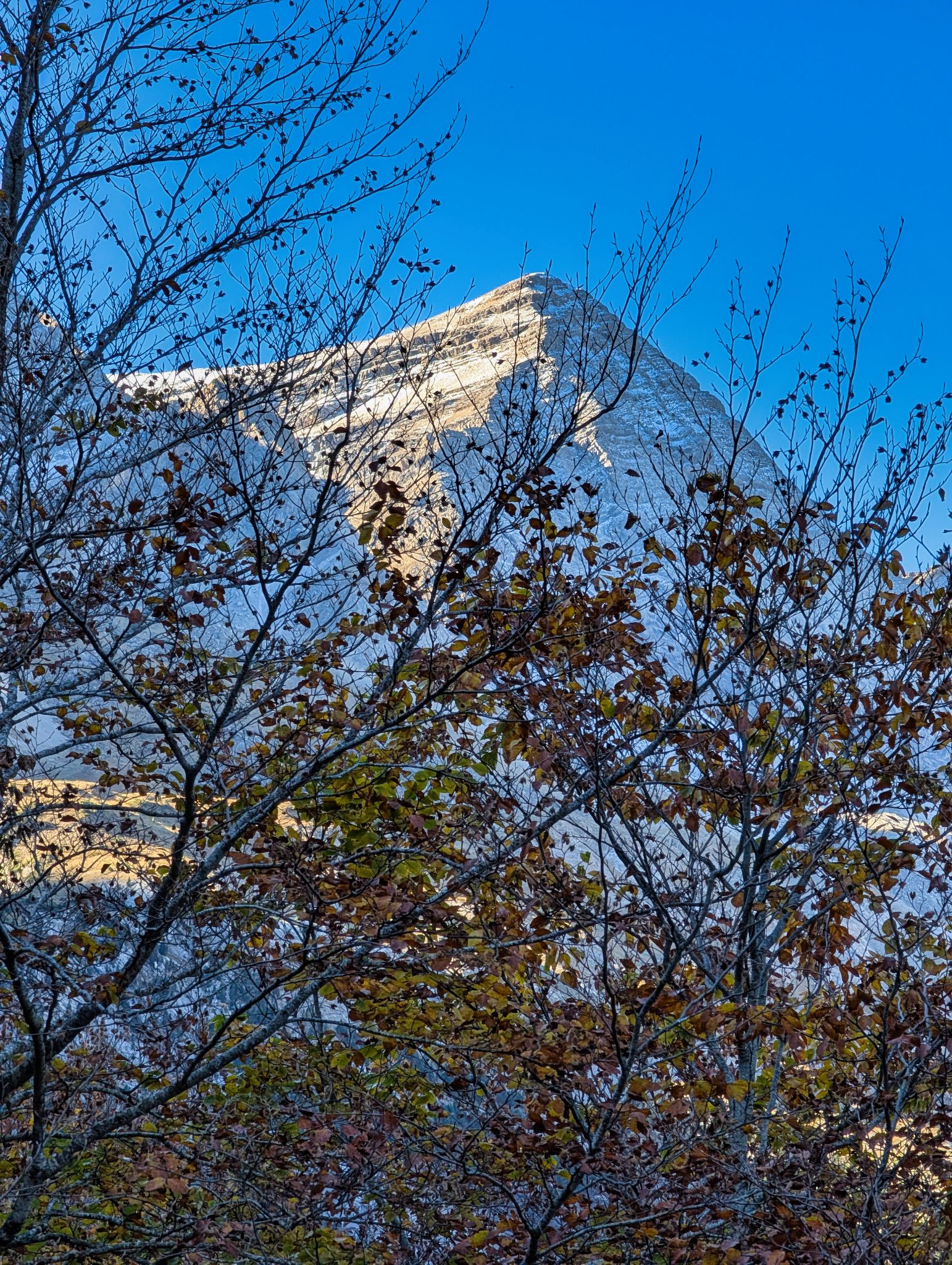 PXL 20251028 084516326