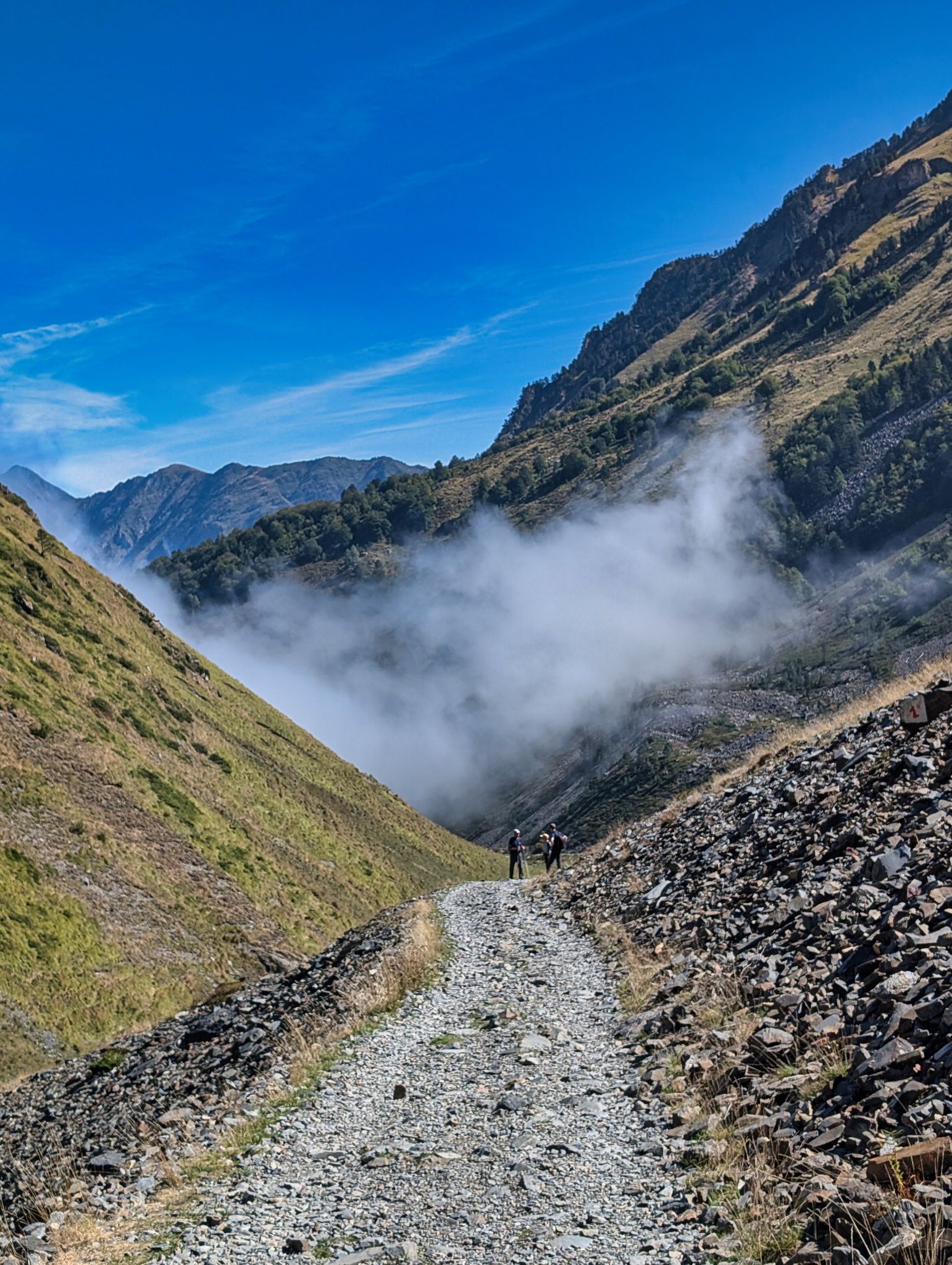 PXL 20250915 101839043