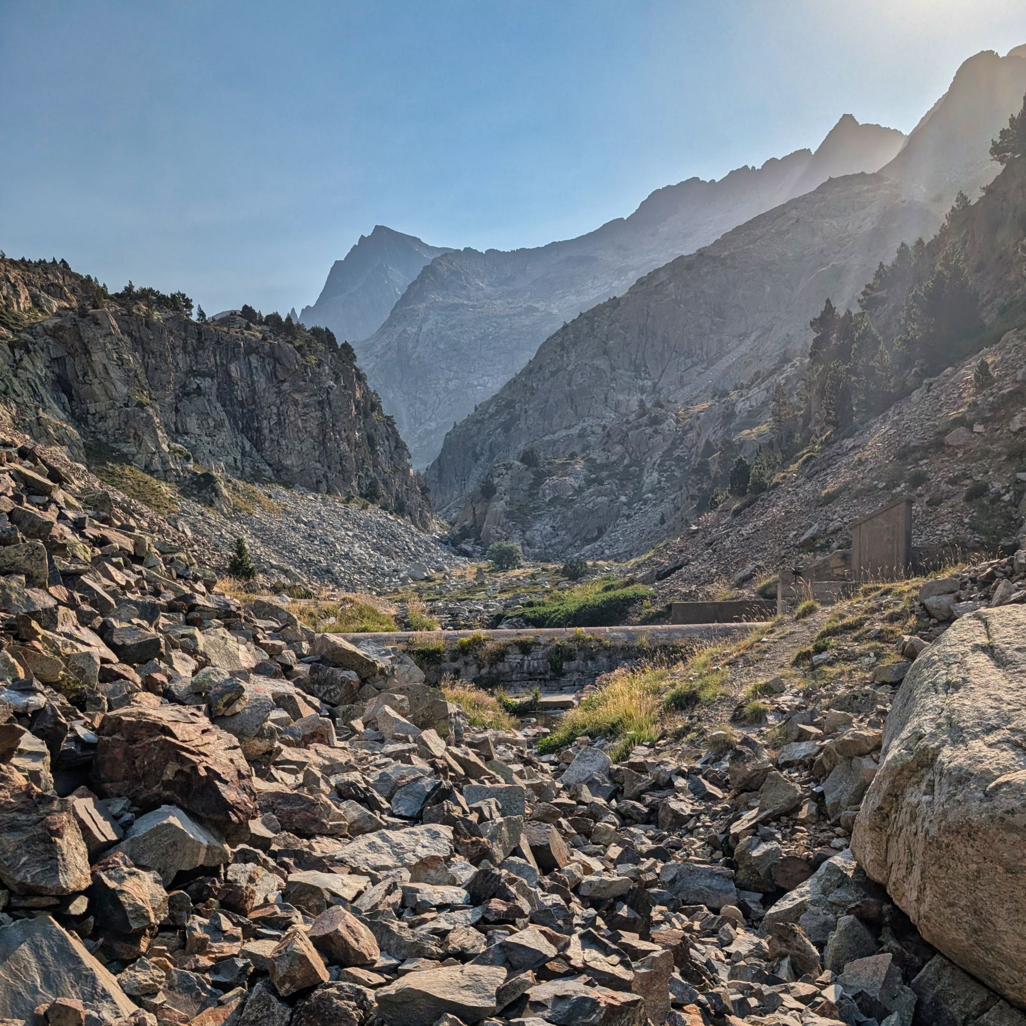 PXL 20250815 080030866