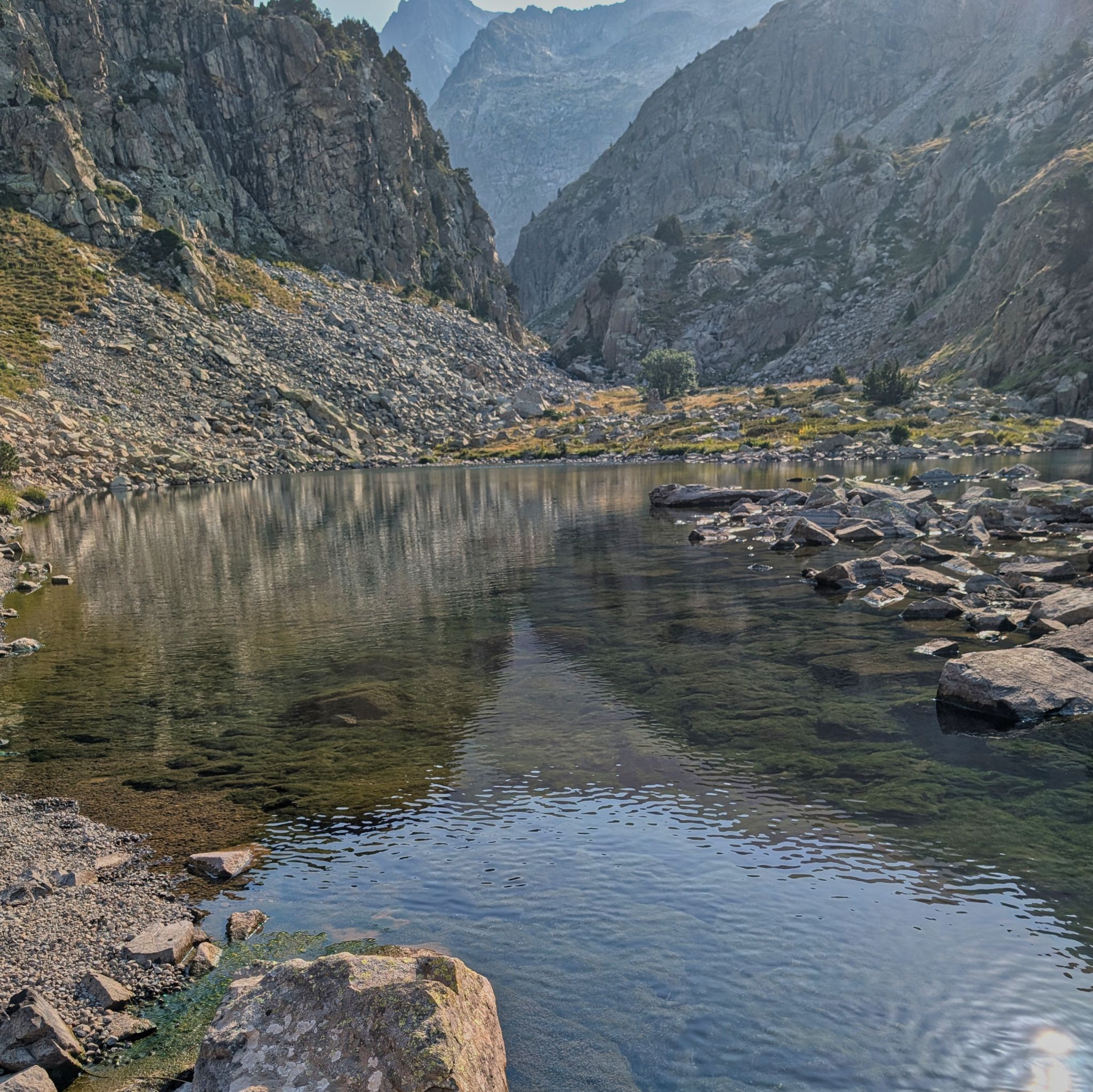 PXL 20250815 080310466