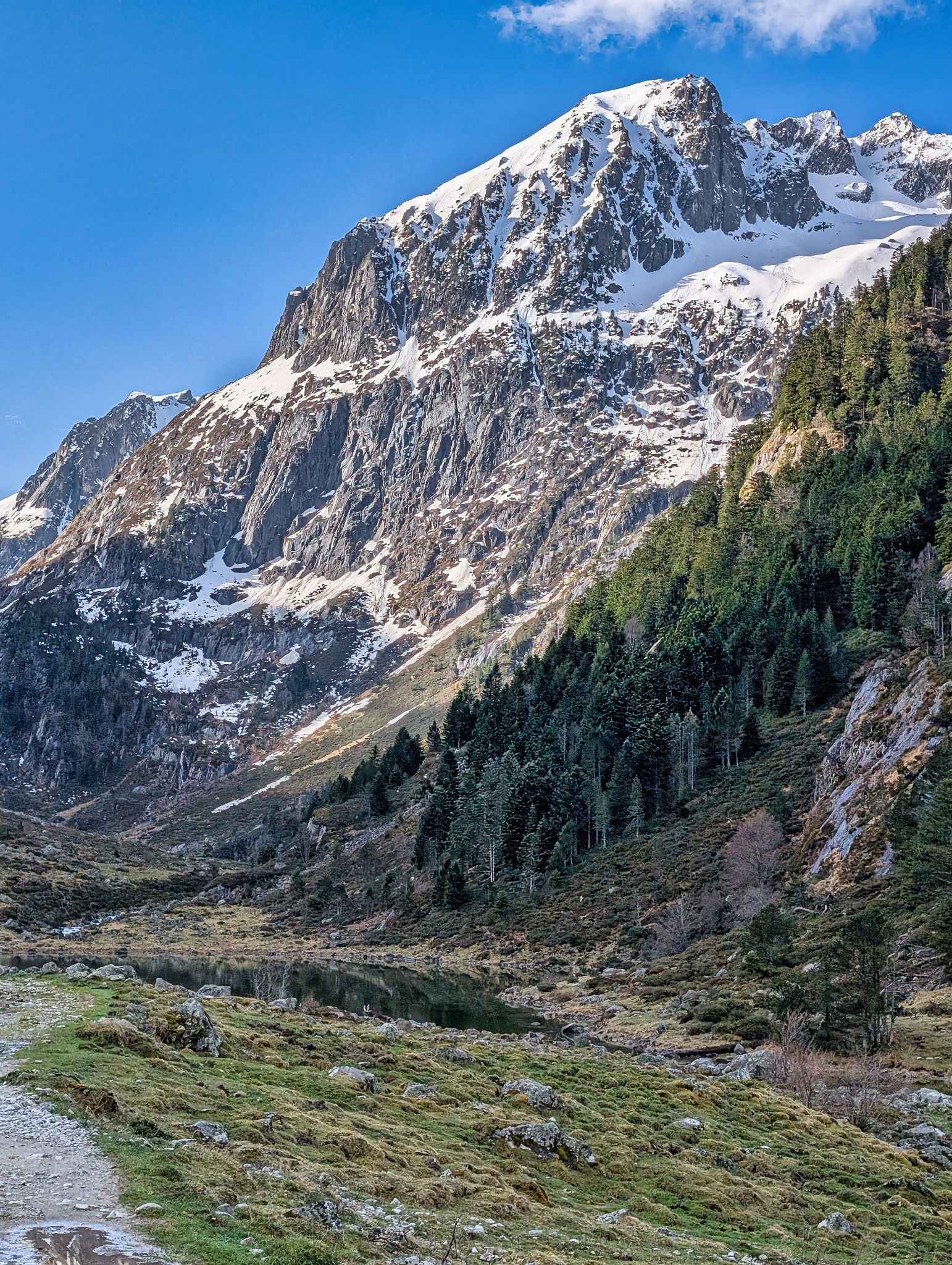 PXL 20250406 081334162