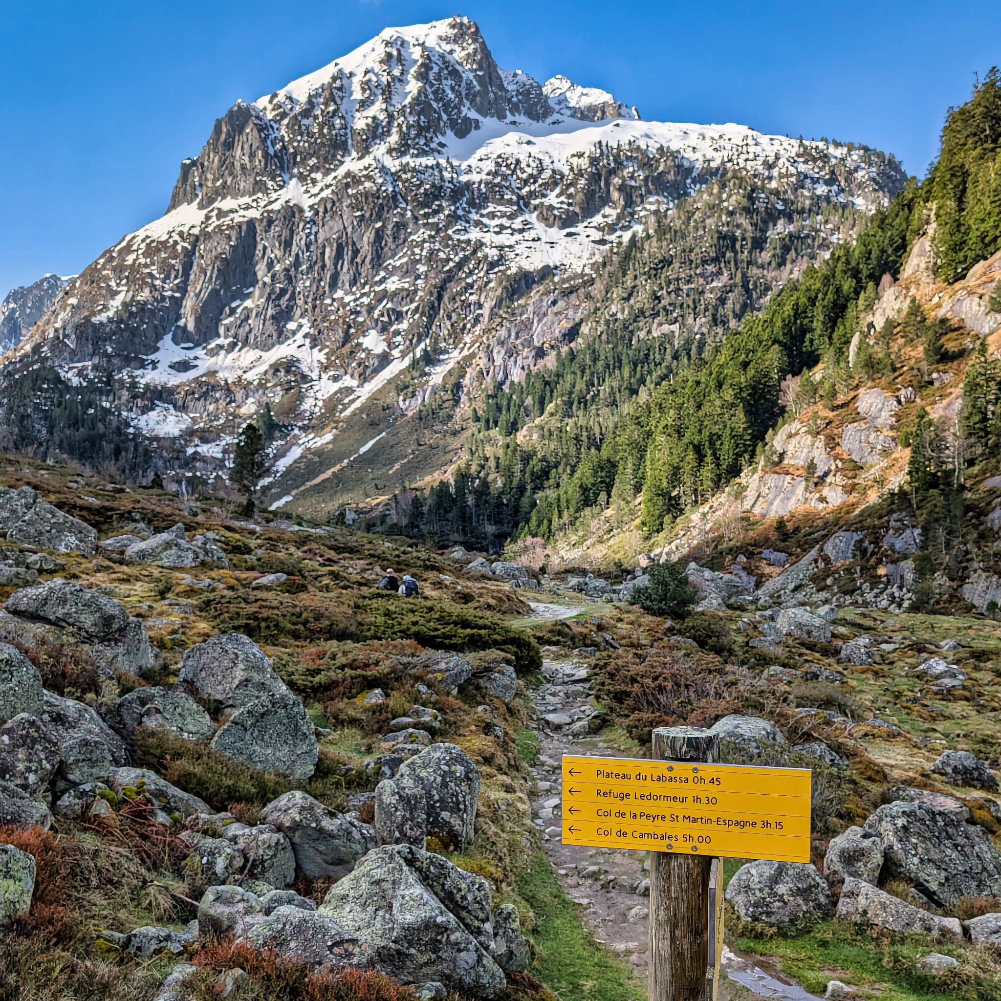 PXL 20250406 082233976