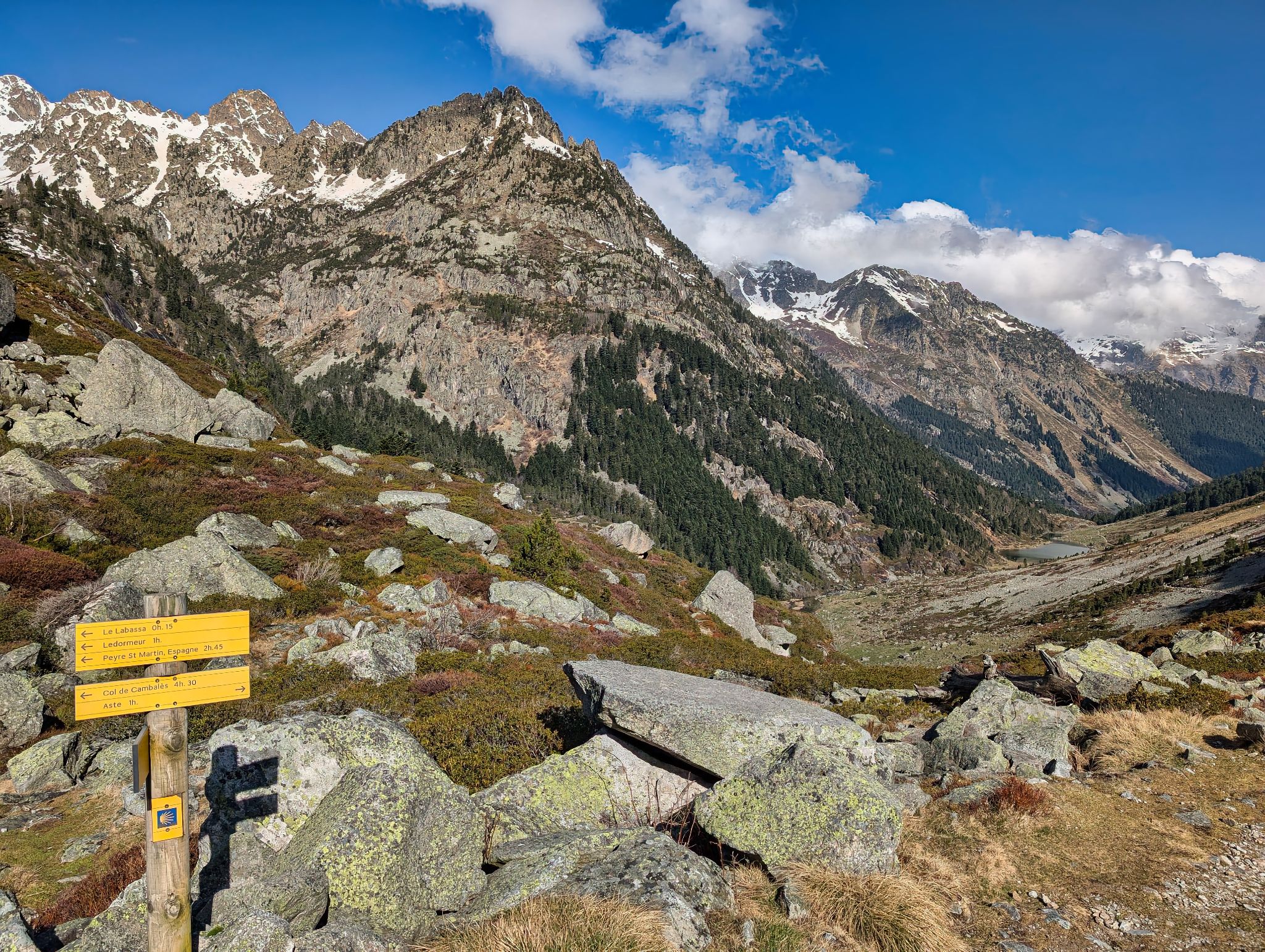 PXL 20250406 084837252