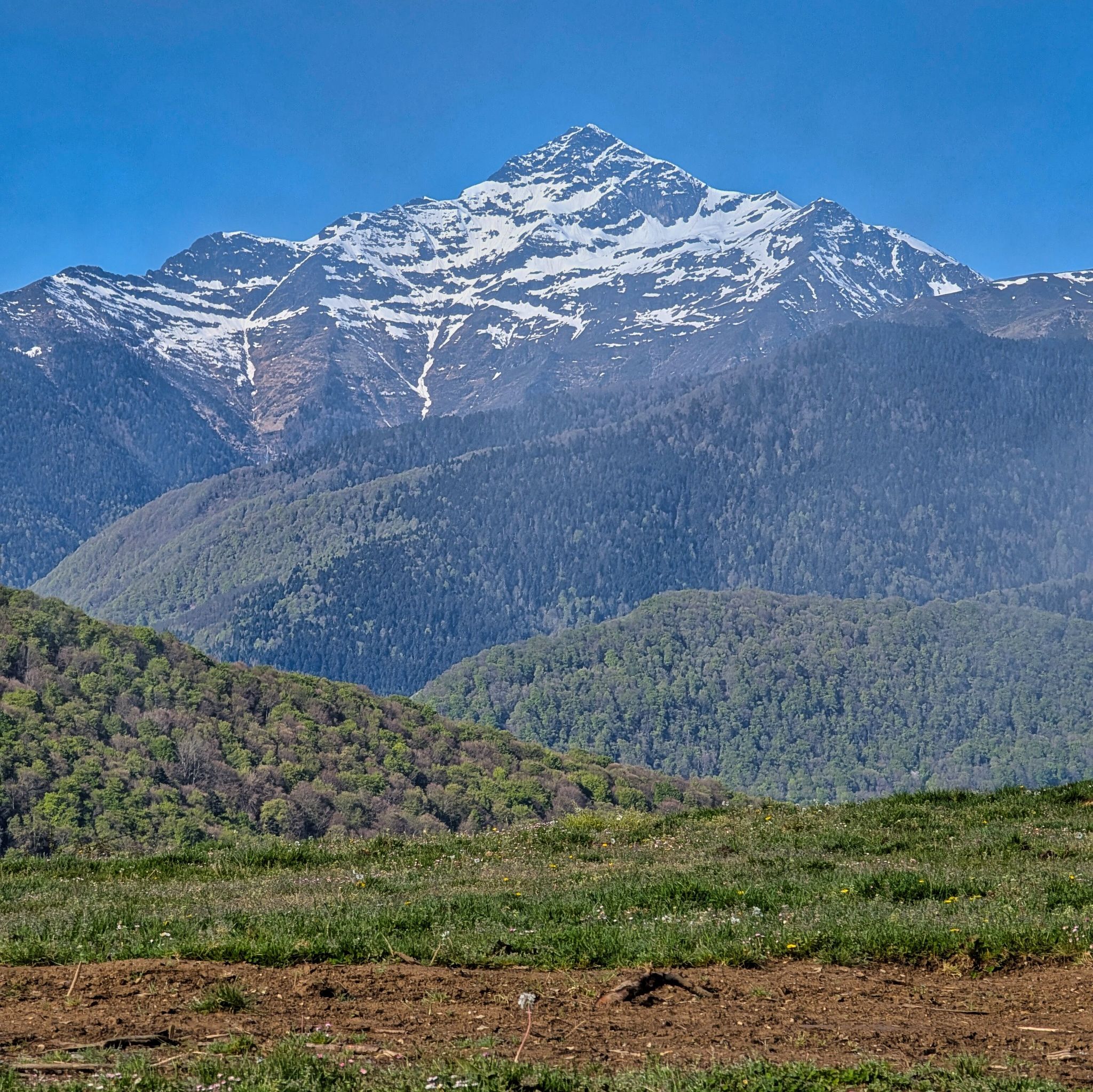 PXL 20250425 081016338