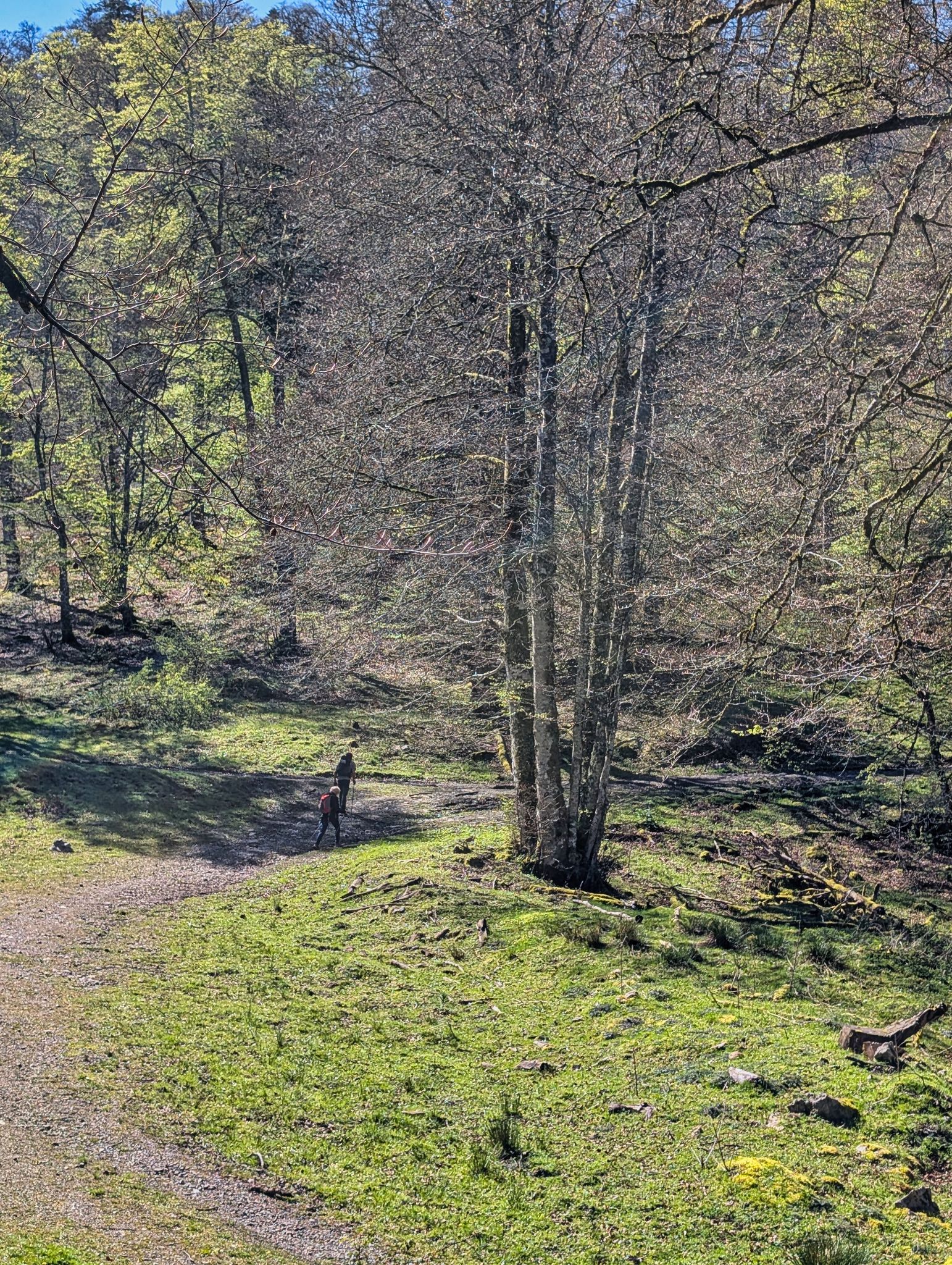 PXL 20250425 091341715