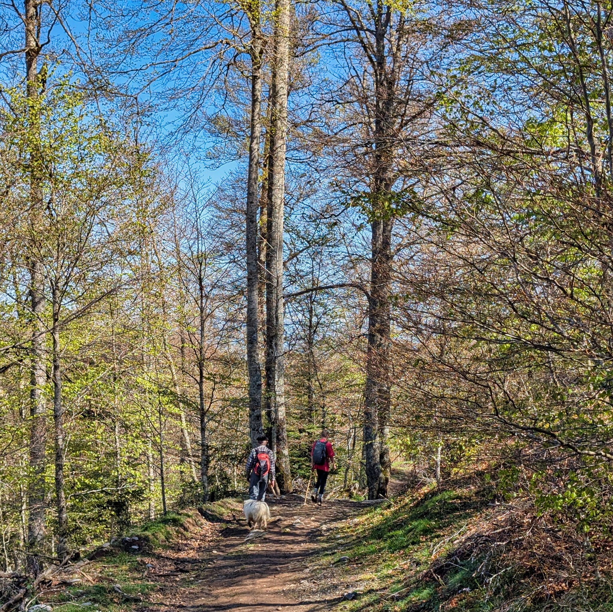 PXL 20250425 091951268