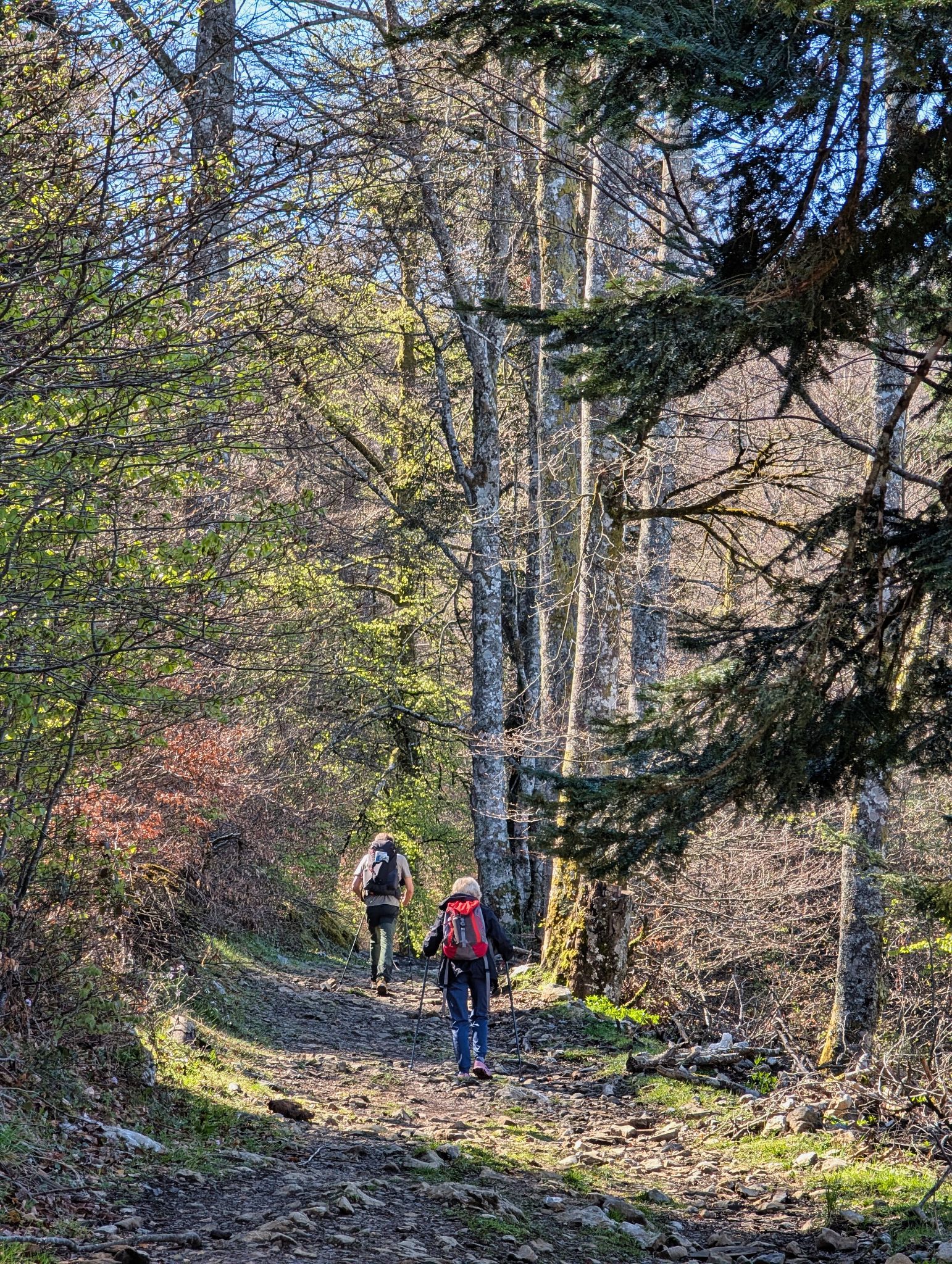 PXL 20250425 091958079