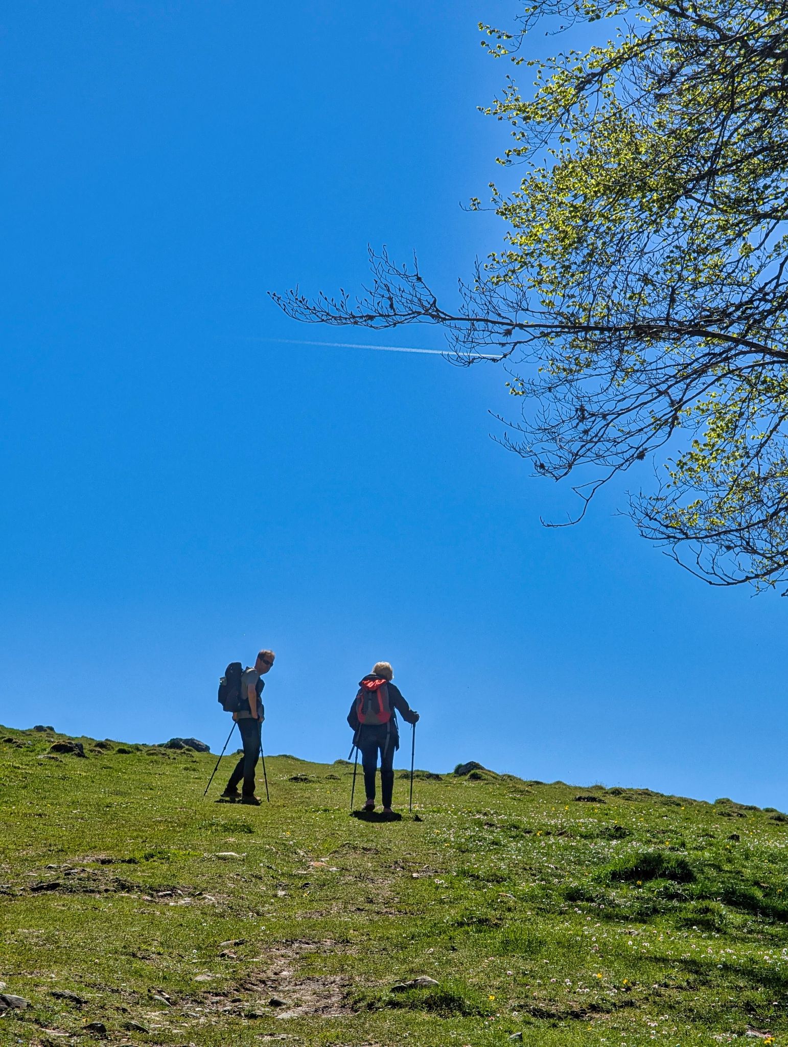 PXL 20250425 092838764