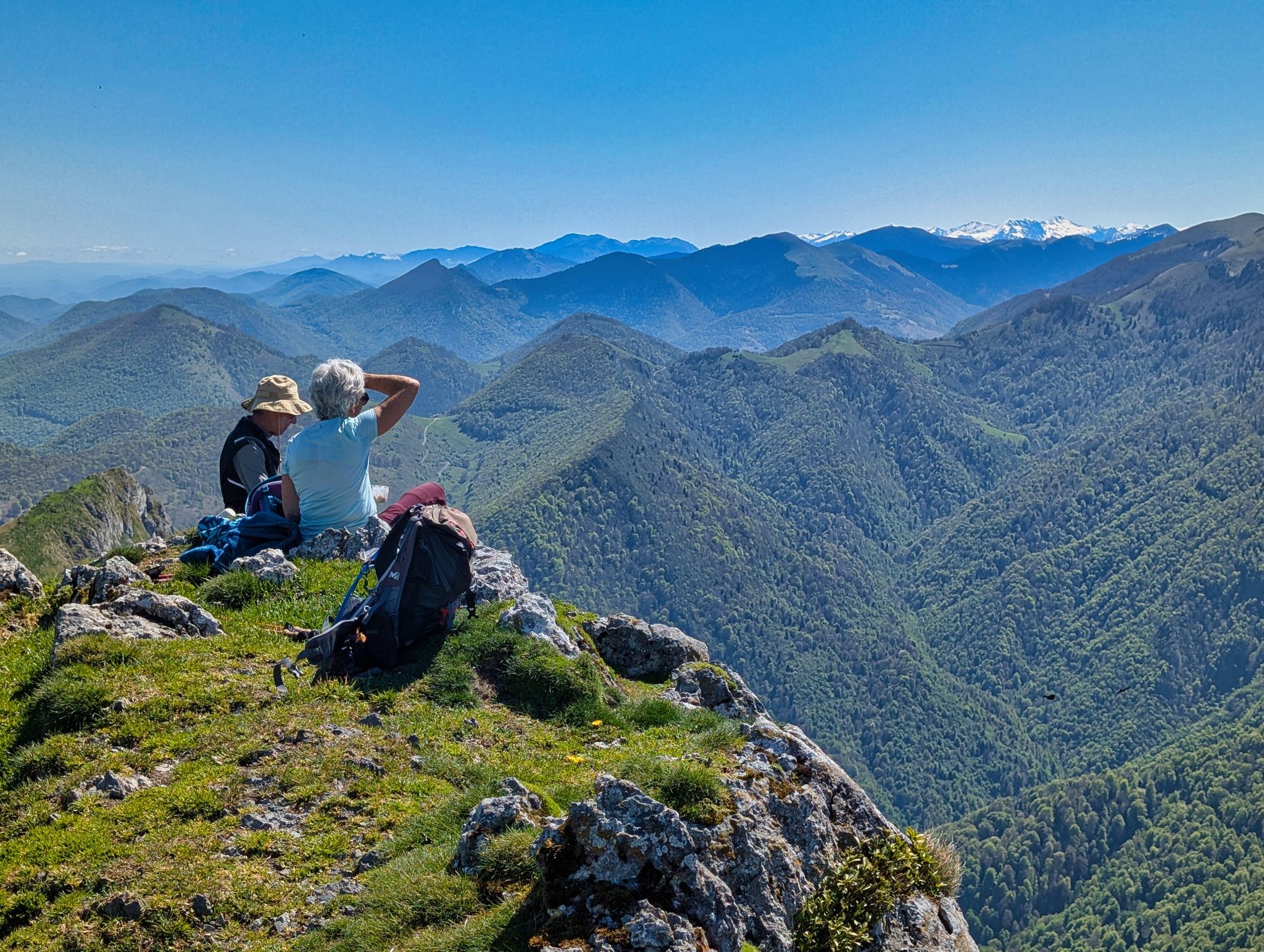 PXL 20250425 101451785