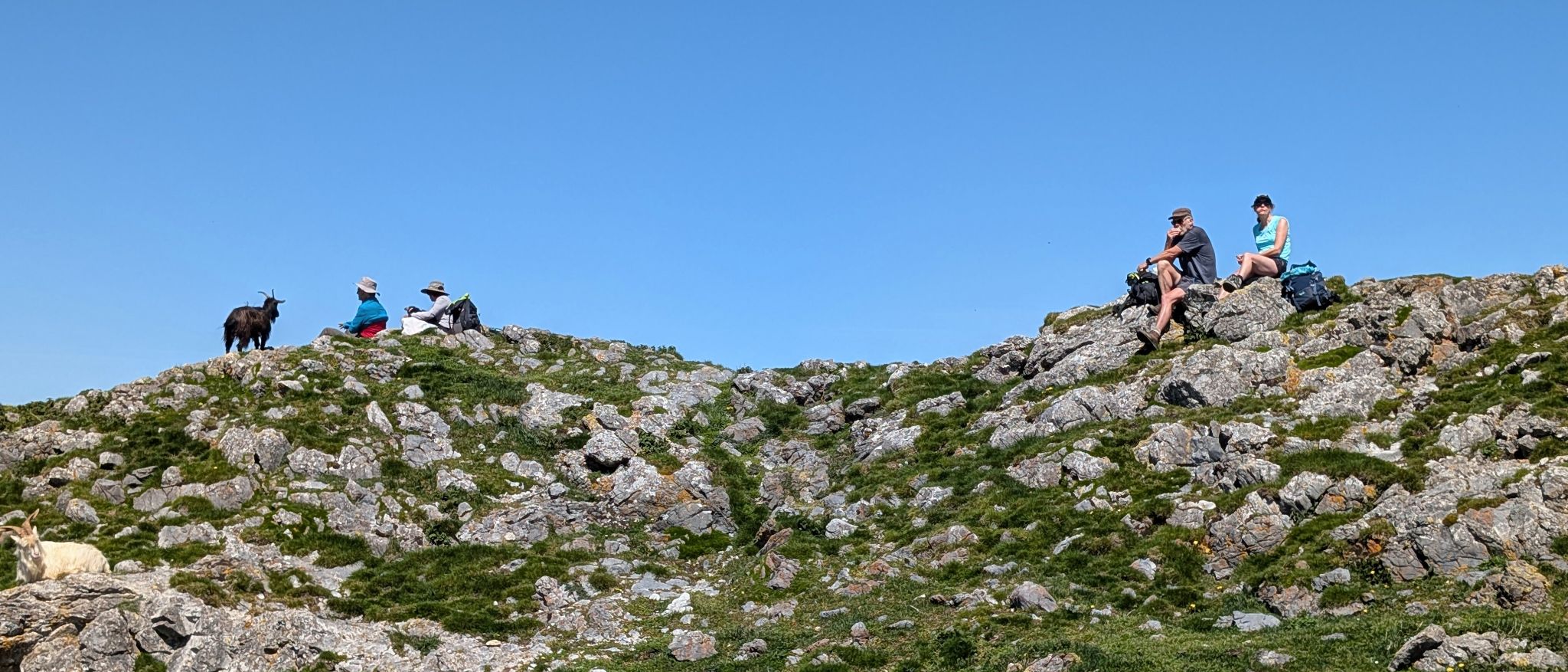 PXL 20250425 104417352