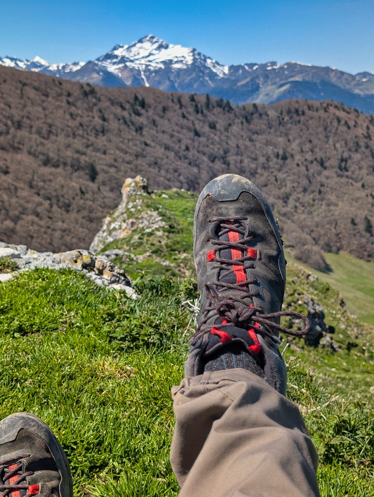 PXL 20250425 104437542