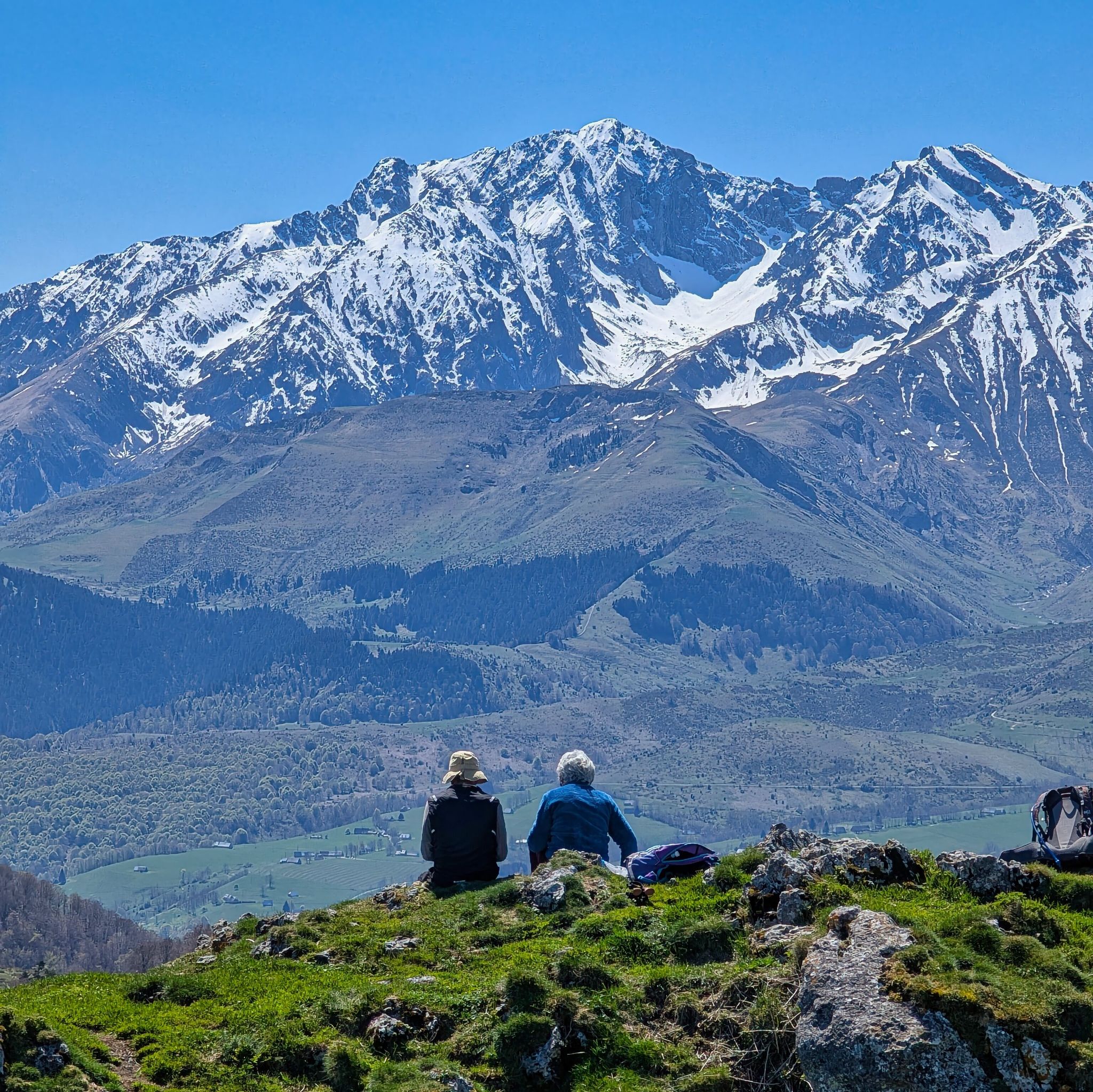 PXL 20250425 104954646