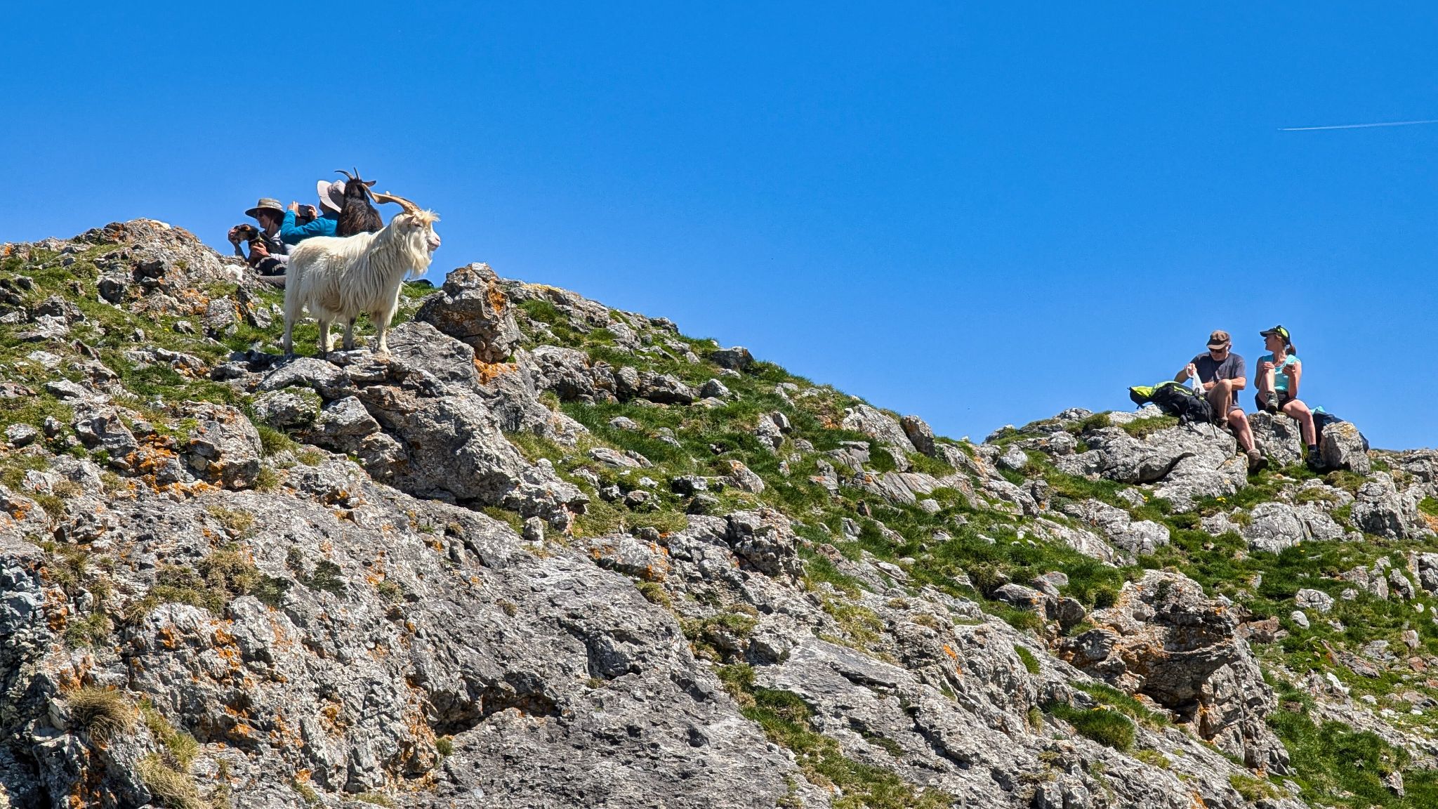 PXL 20250425 105727047