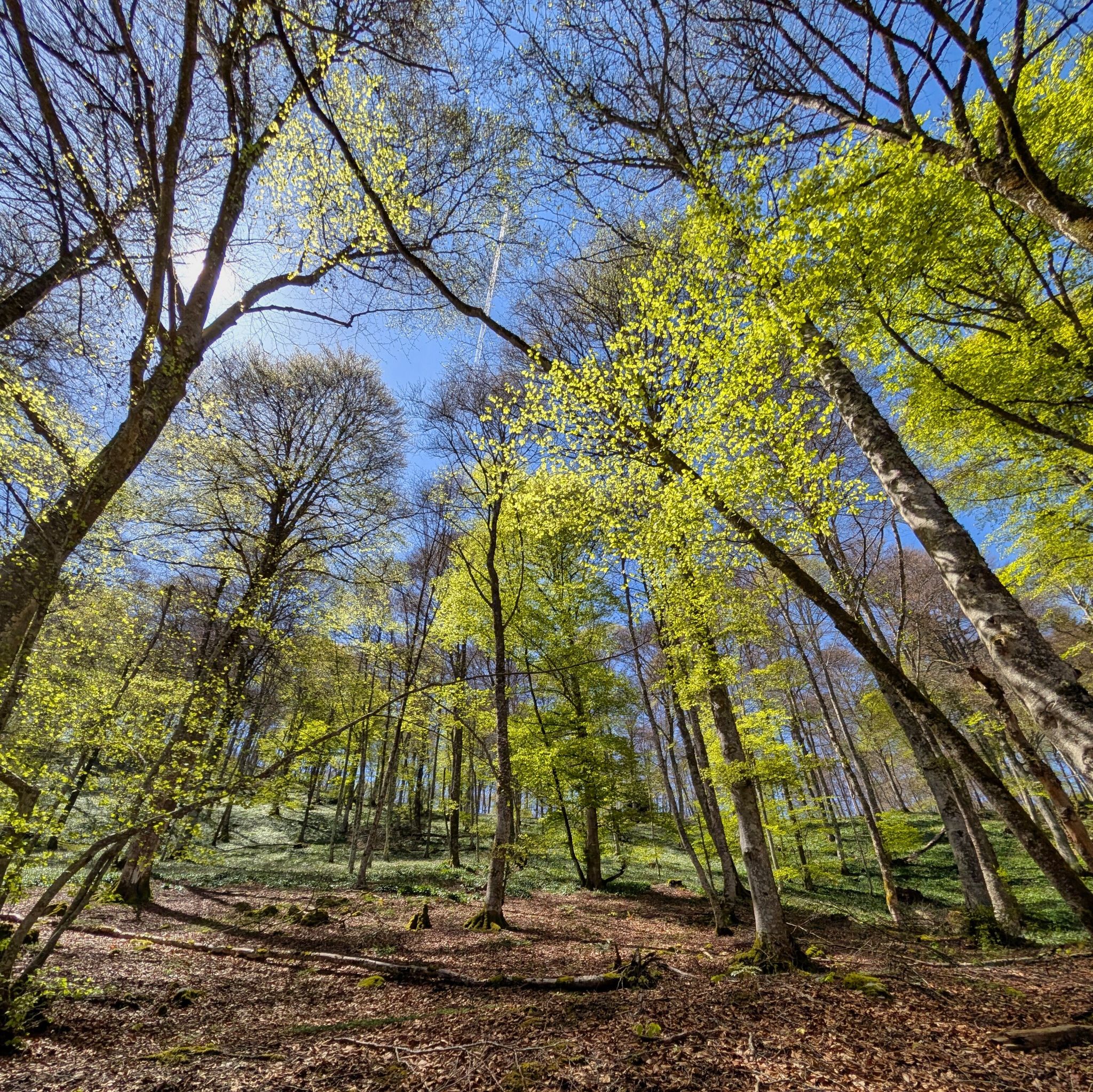 PXL 20250425 121516027